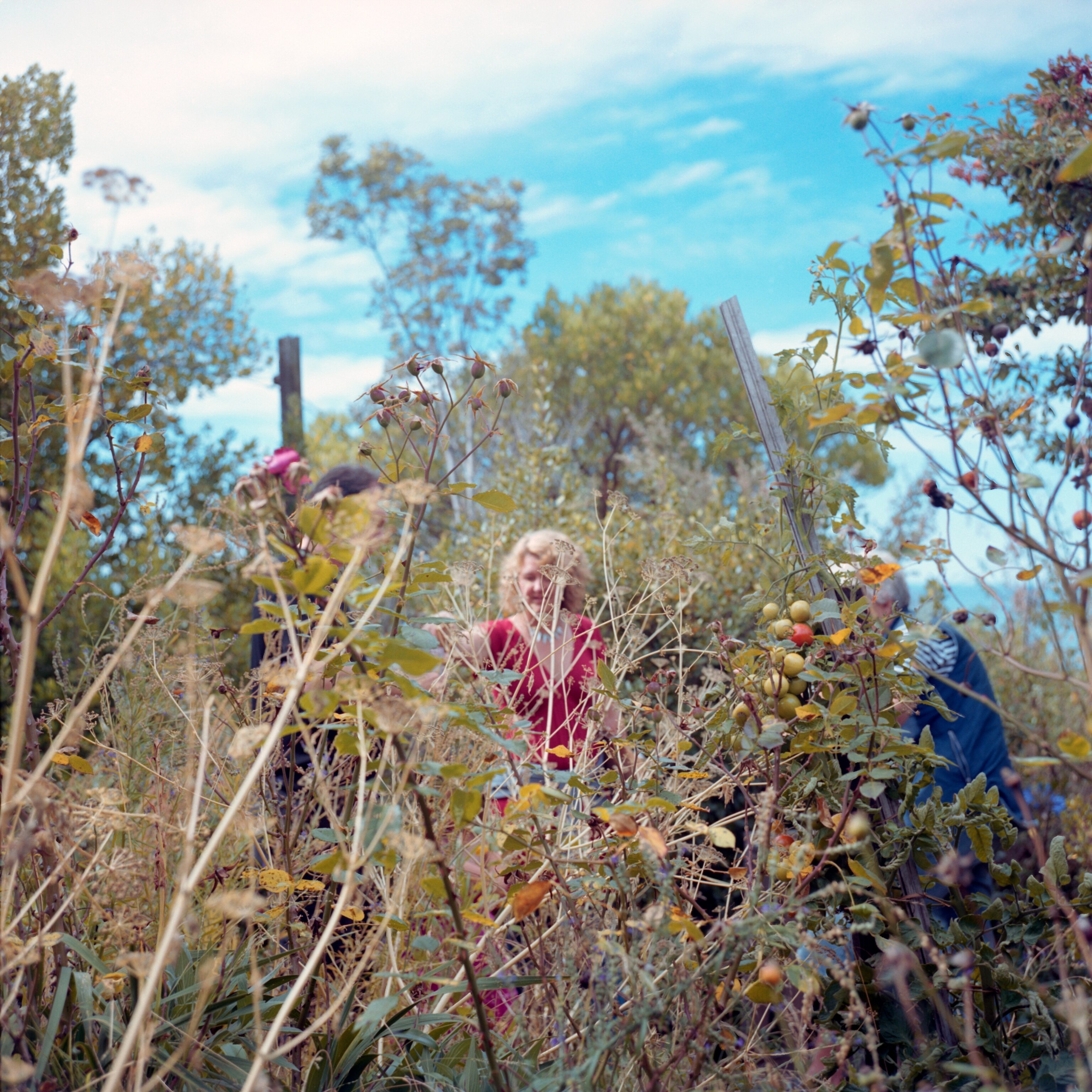 woman in overgrown garden