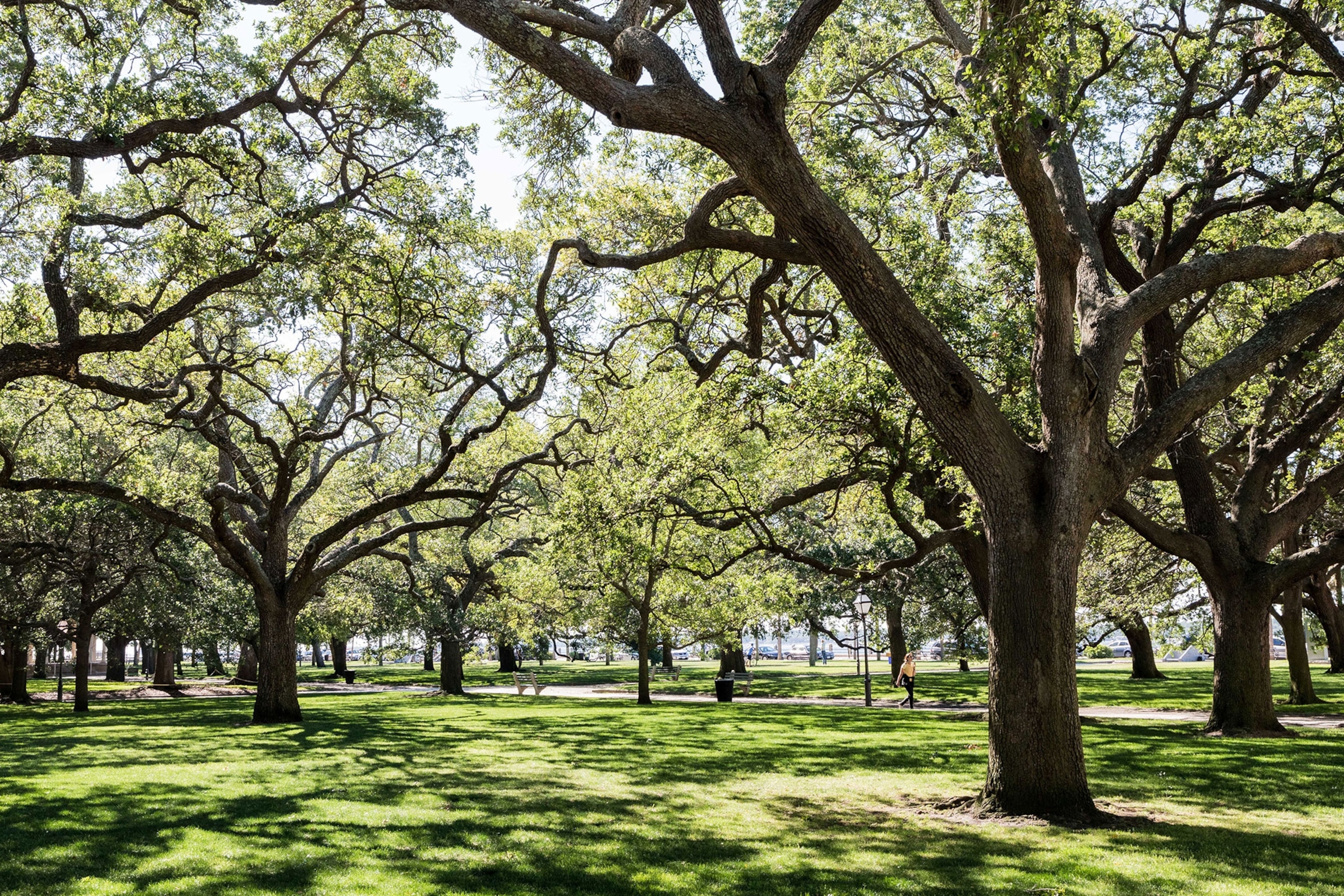 Charleston South Carolina