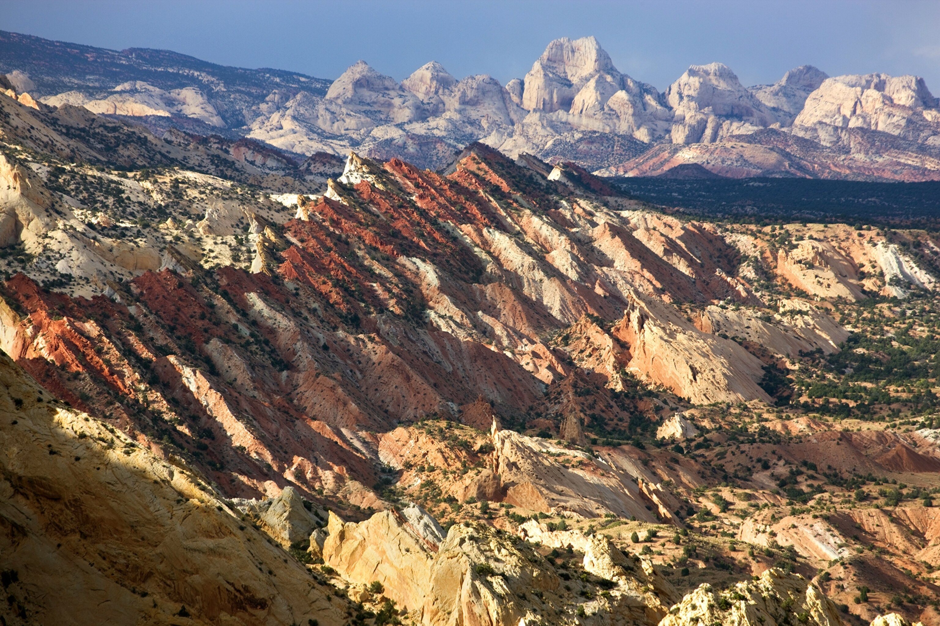 the Waterpocket Fold in Capitol Reef National Park, Utah