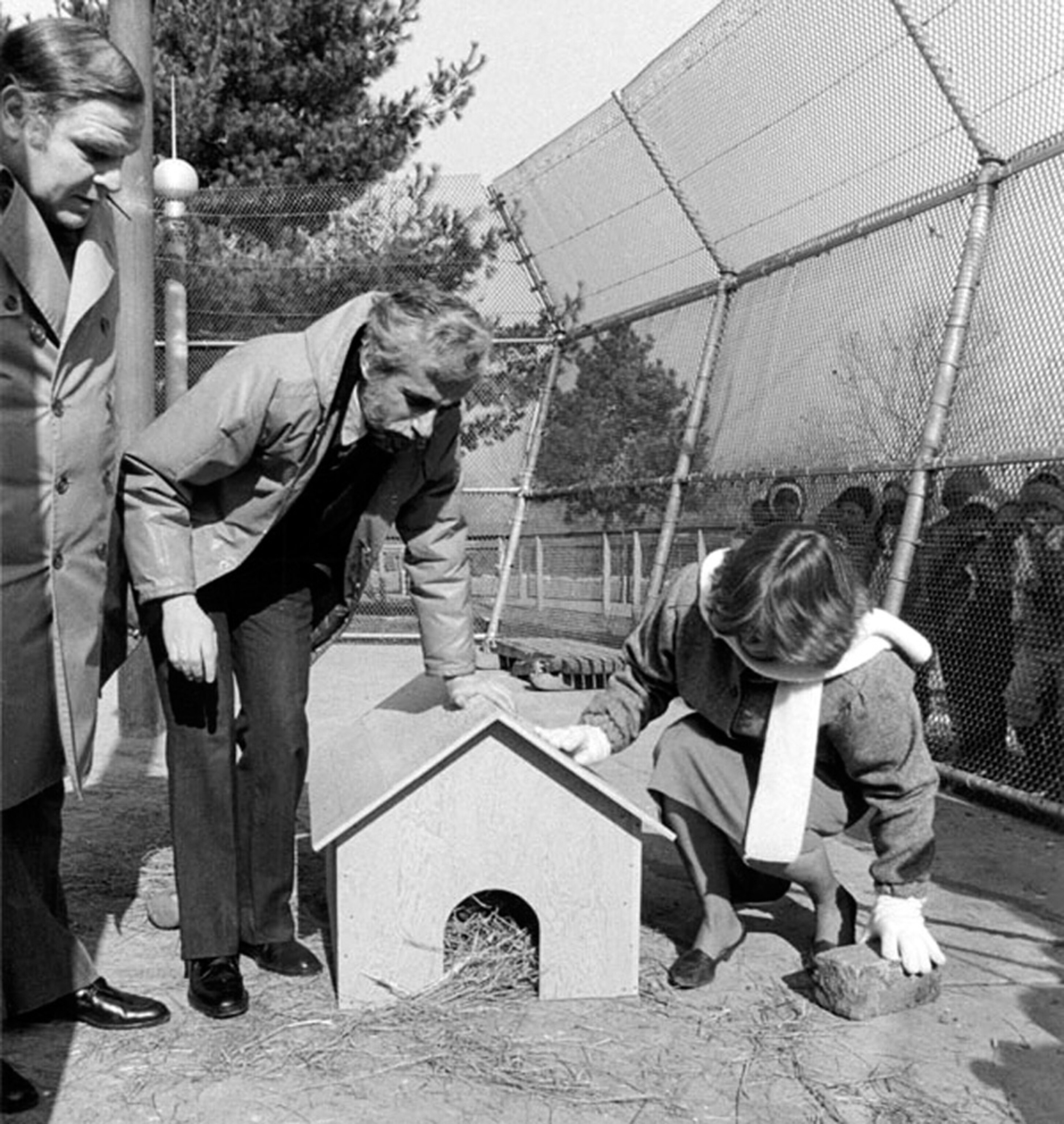 people await a groundhog's prediction on Groundhog Day at Queens Zoo in 1984.