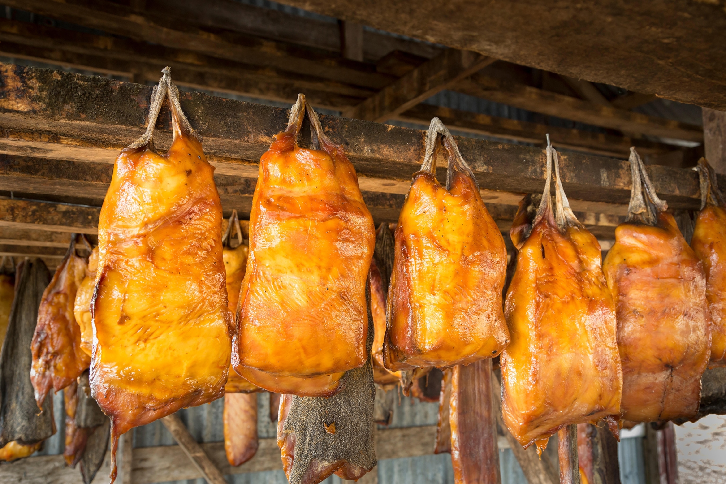 fermented shark meat in Iceland