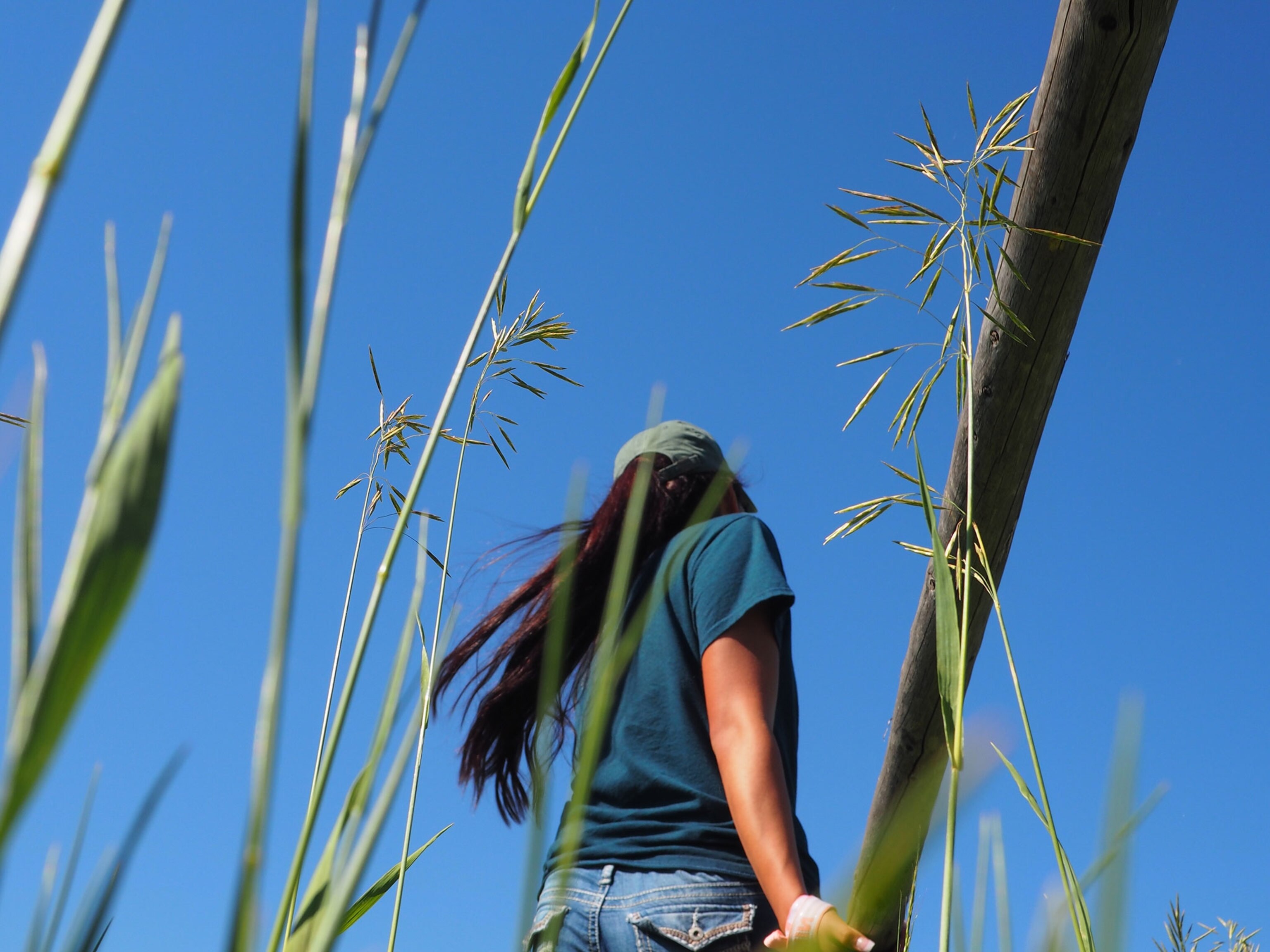 a girl walking through a field on the Crow Indian reservation