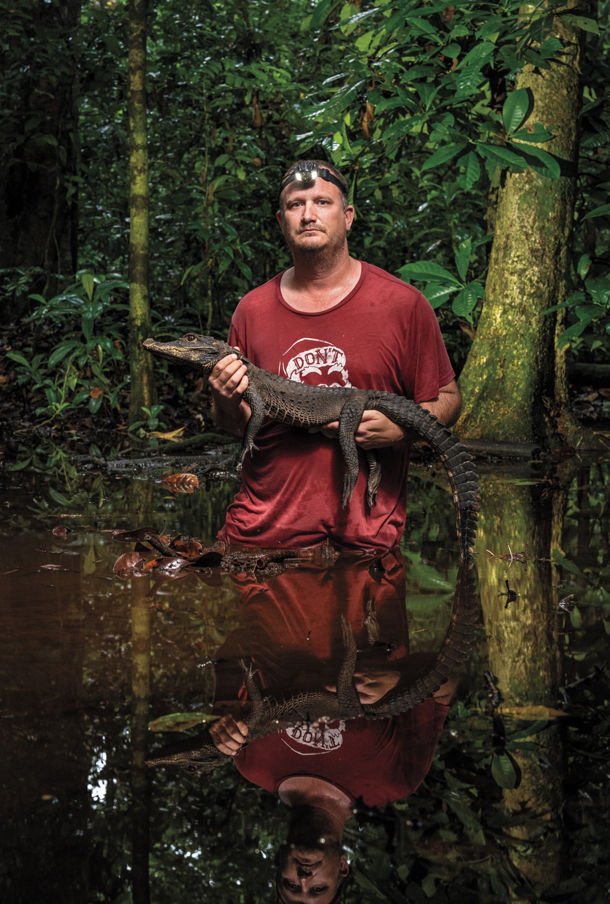 A man wearing a red shirt and a headlamp stands waste deep in a body of water holding a small croc. A dense forest can be seen in the background behind him.