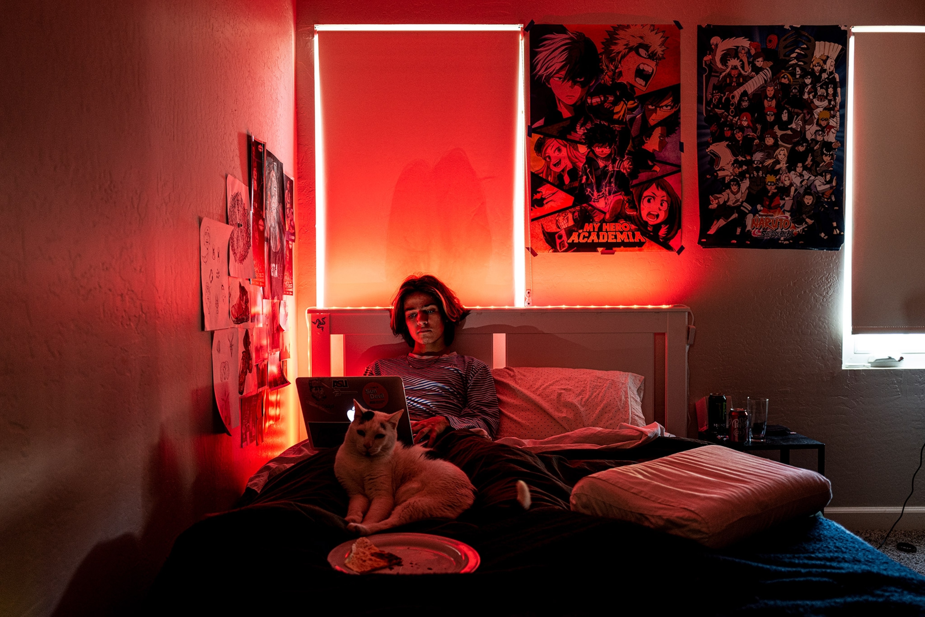 a boy on his laptop on his bed