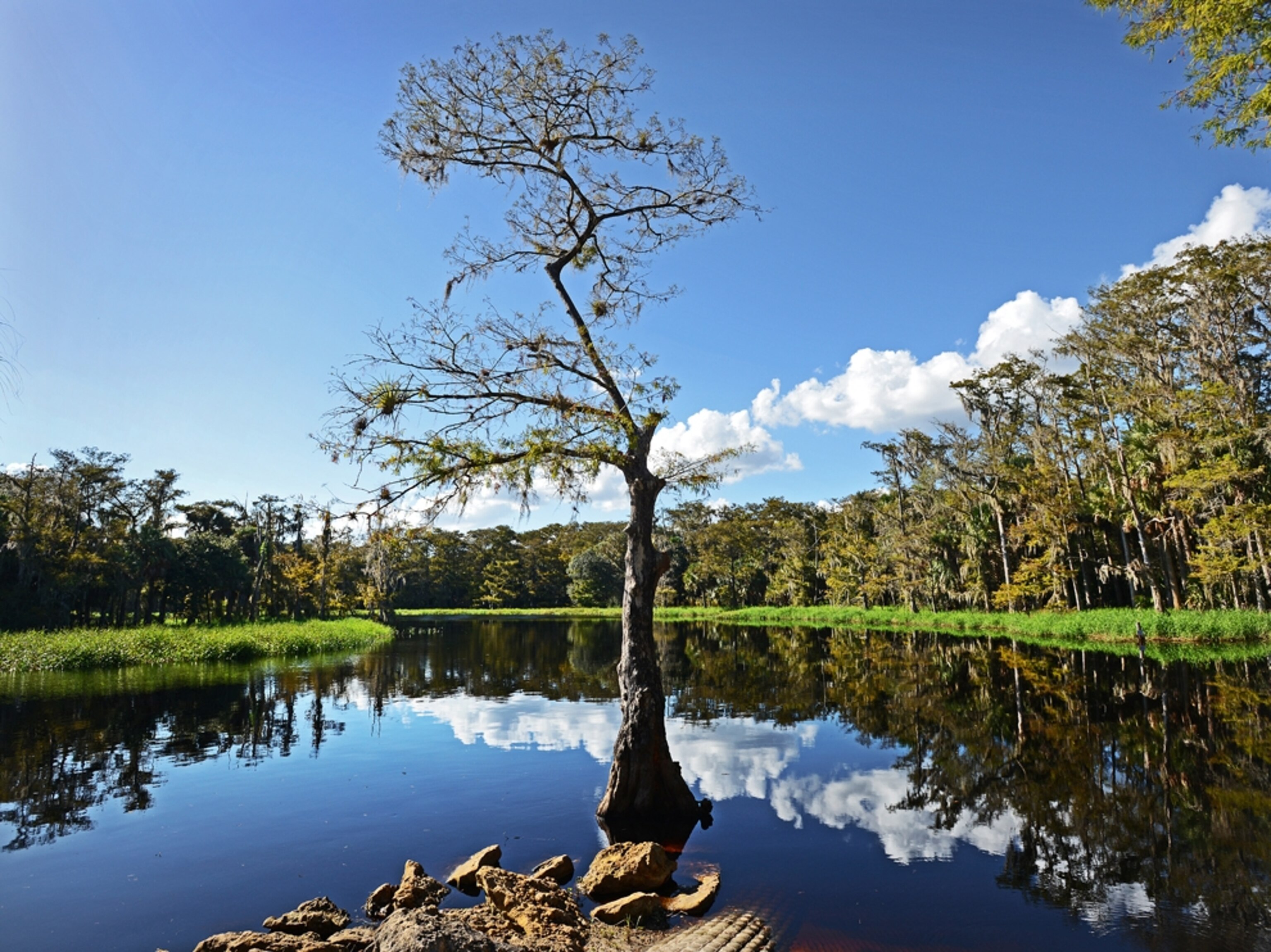Fisheating Creek in Palmdale, Florida