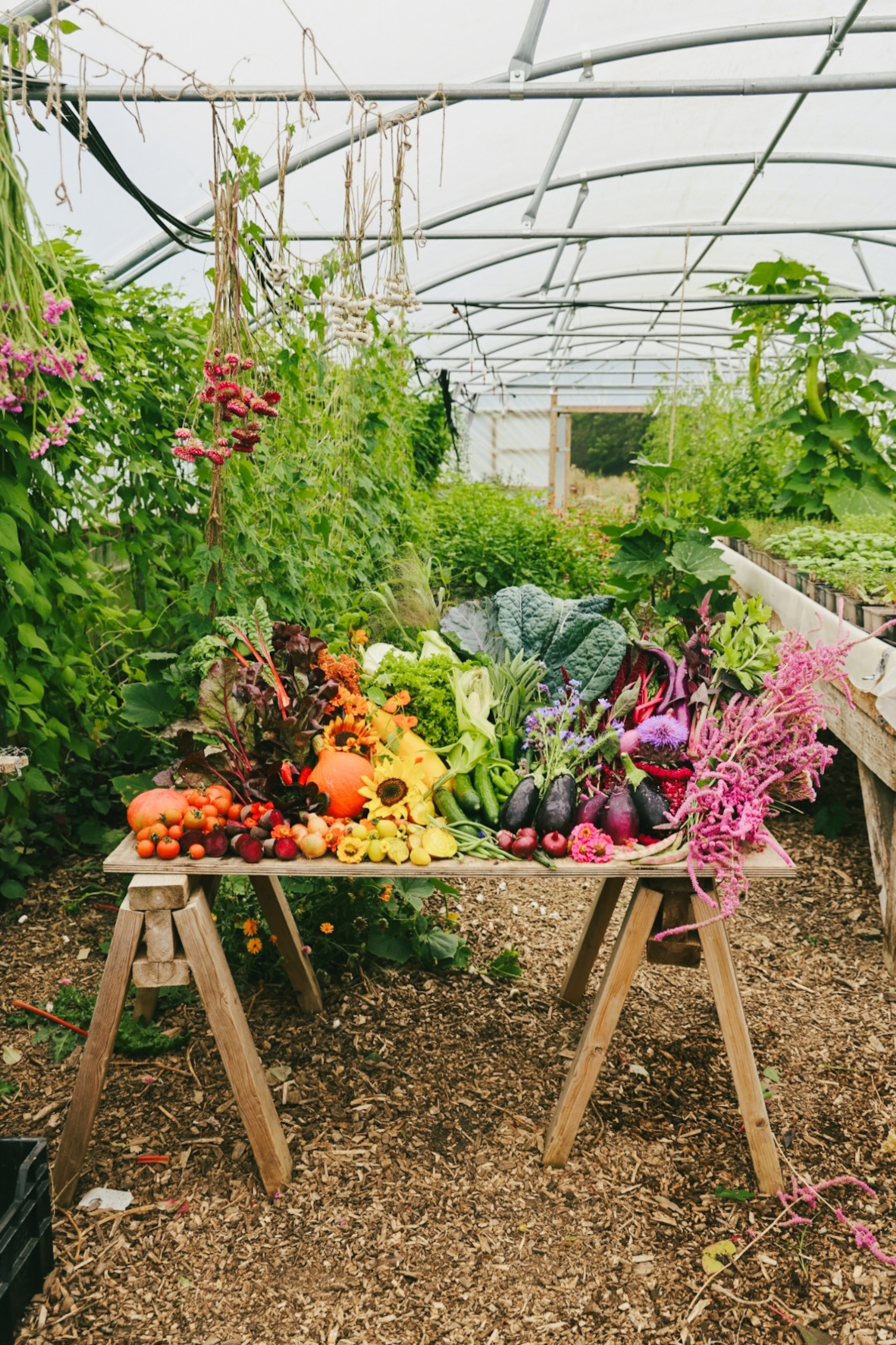 garden at a farm hotel