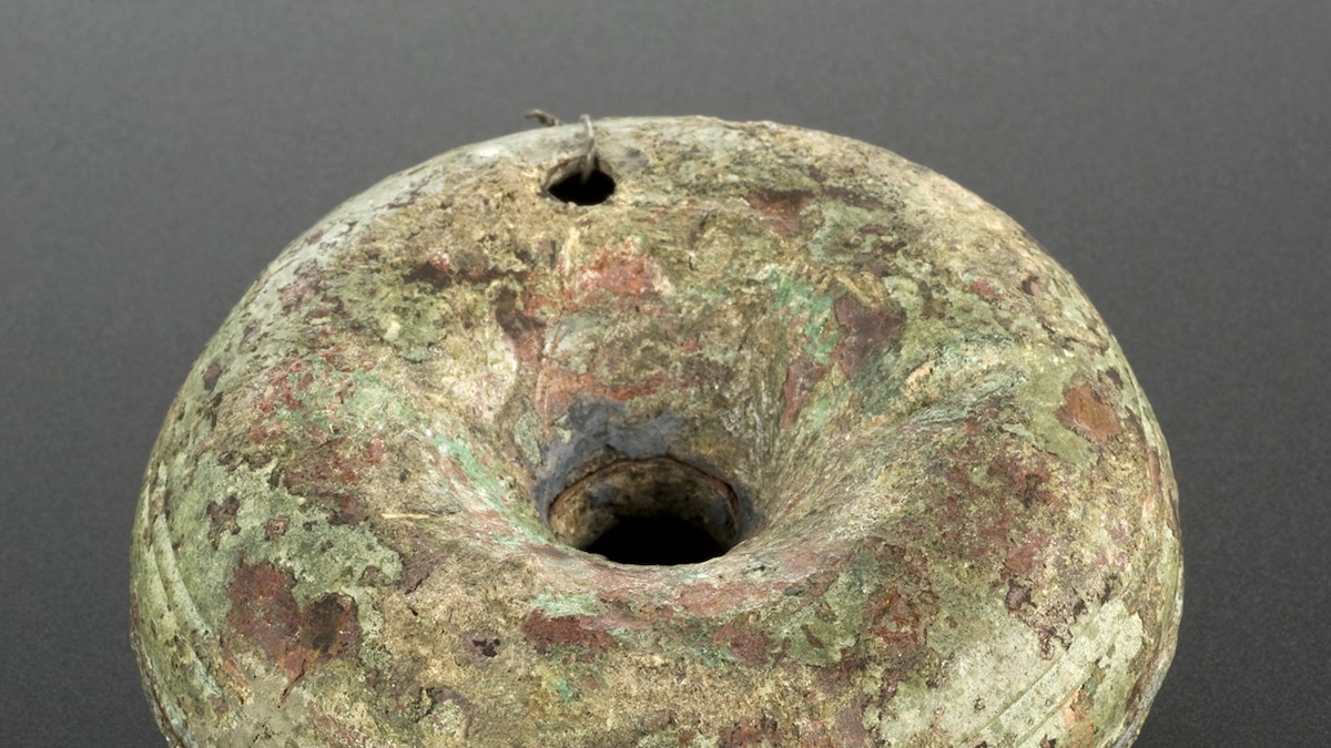 Lemons, Sponges, and Other Old Forms of Birth Control