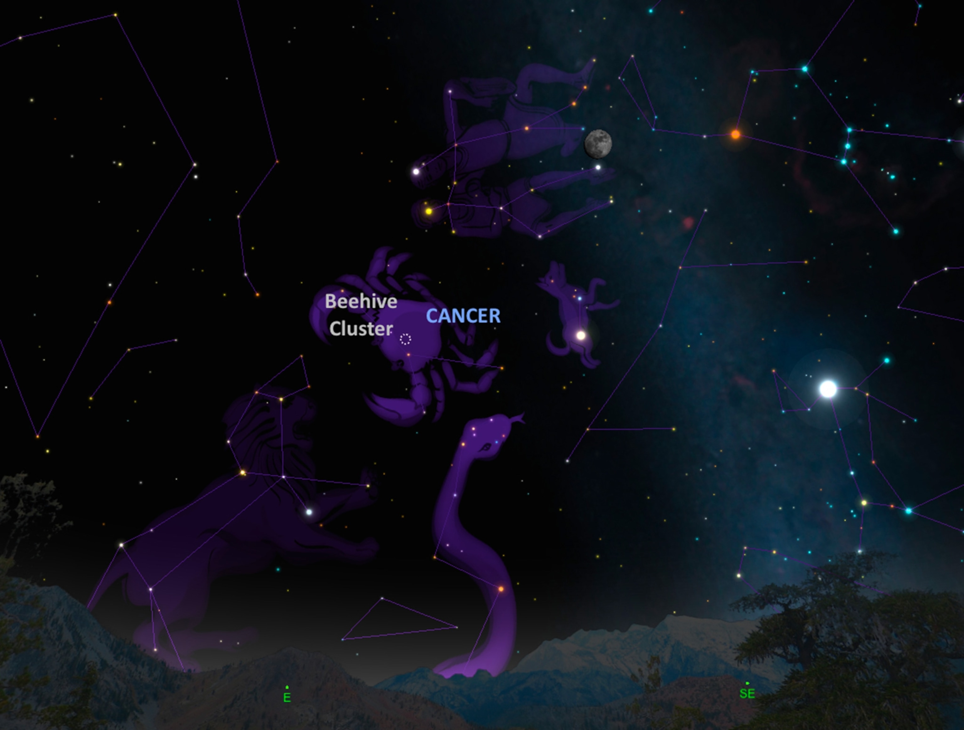 an asteroid passes by the bright open cluster, the Beehive