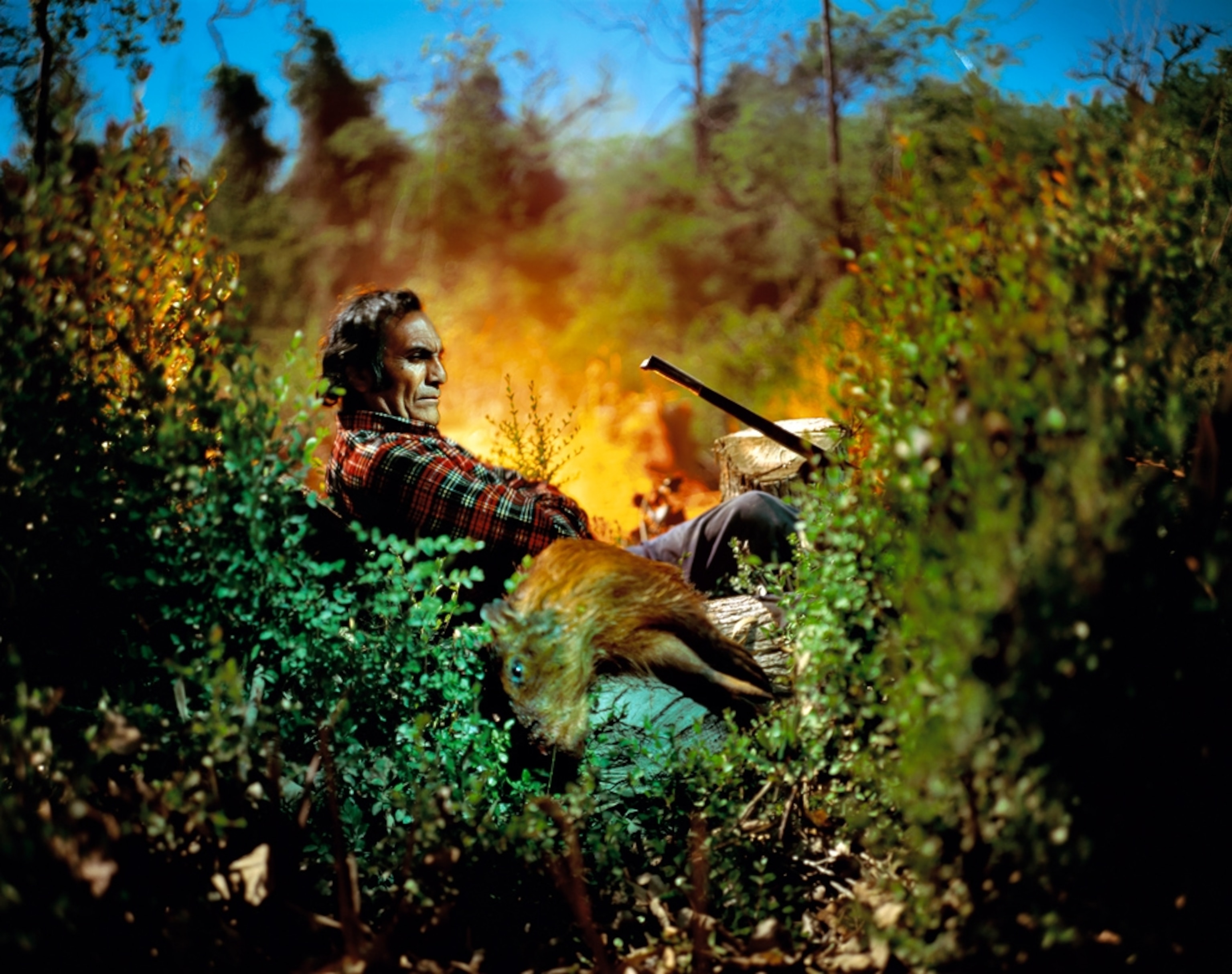 World Photography Awards picture: ''people'' winner, professional category -- a hunter in Argentina