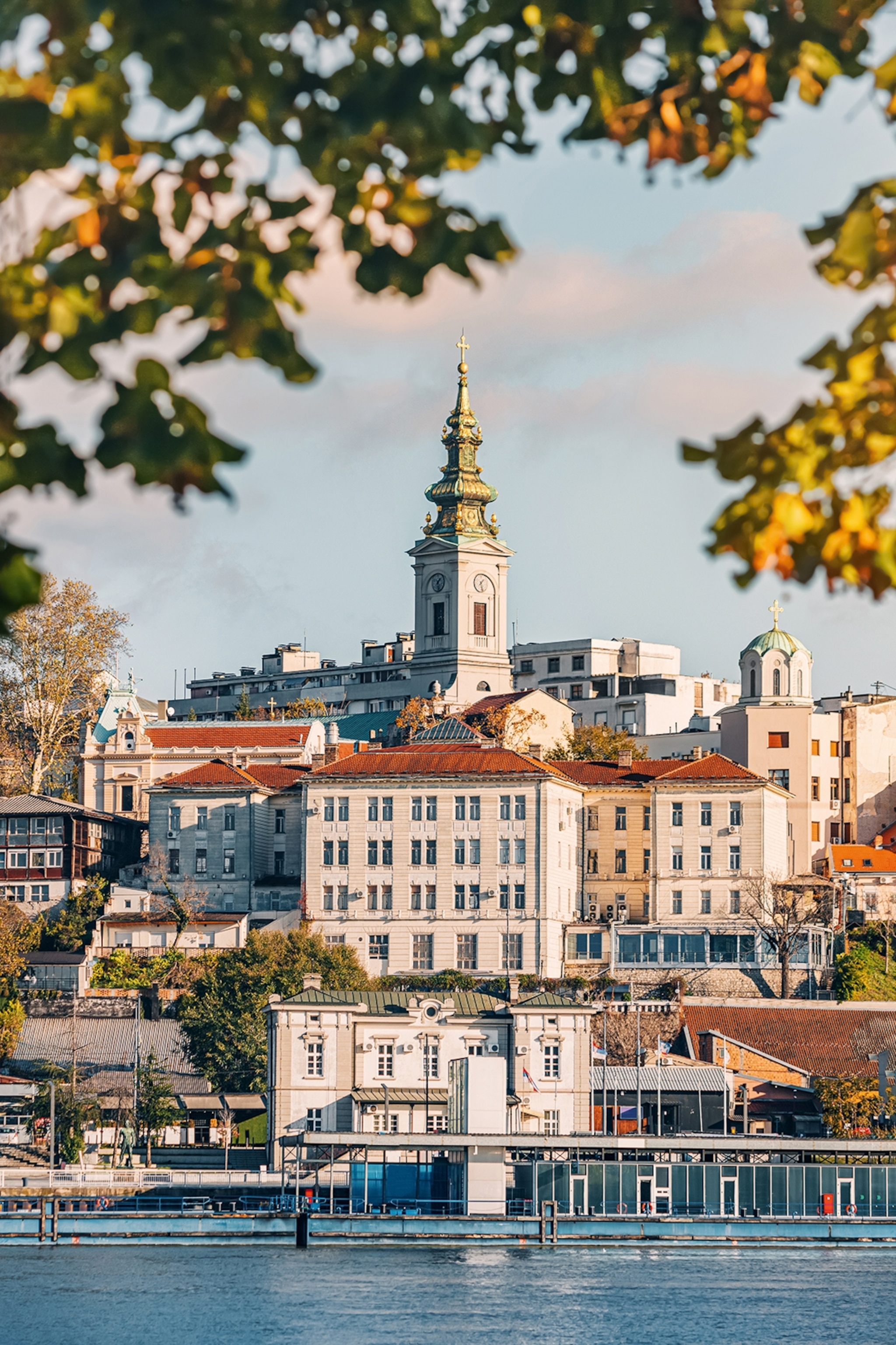 A city landscape shot across a river and through a tree.
