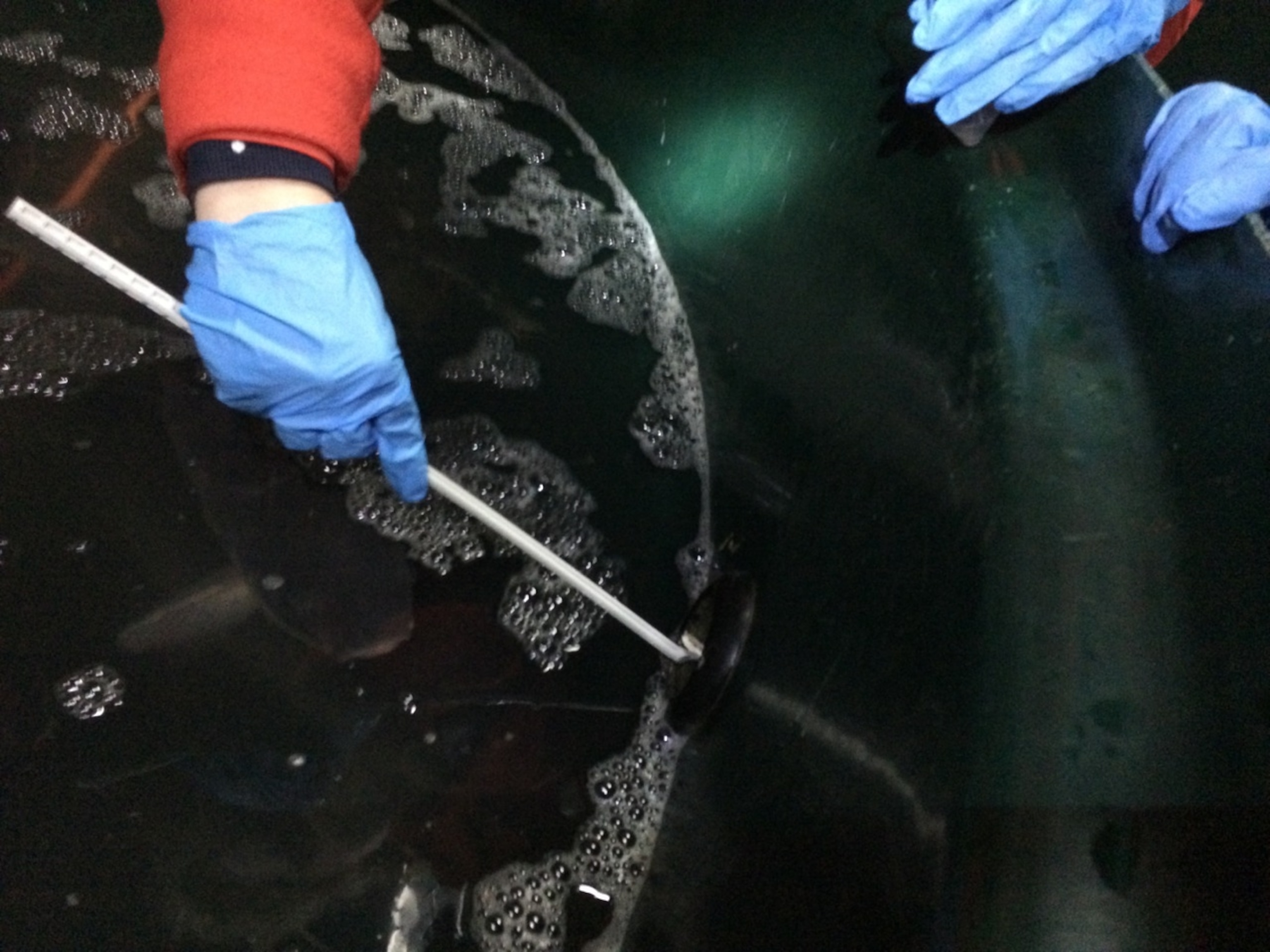 An investigator takes water samples from a fish tank in New York. Photograph courtesy of Claudius Wickham, NYC Dept of Health and Mental Hygiene