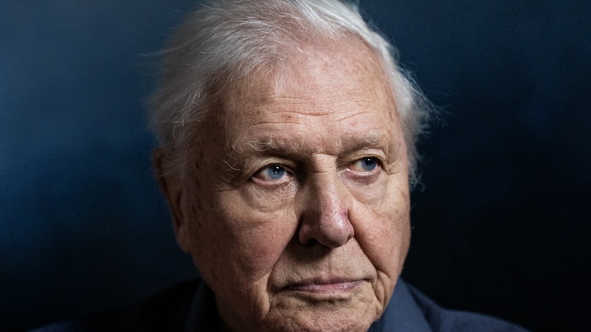 How conservation icon David Attenborough holds onto hope