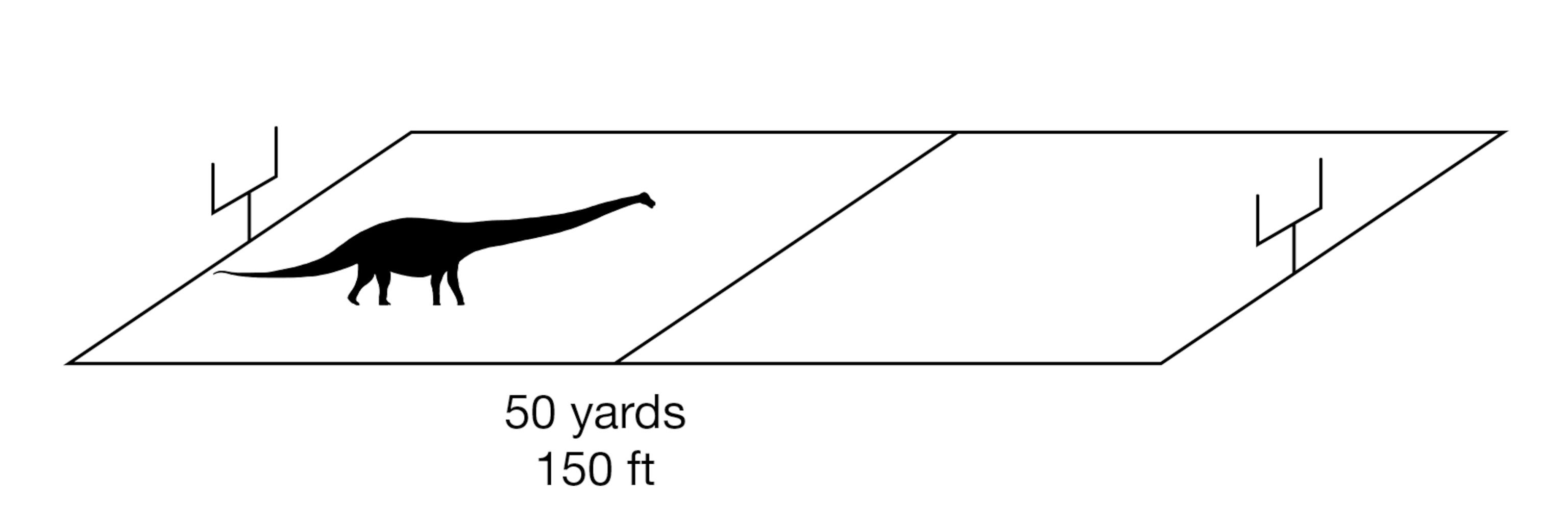 Half of the tail belonging to a Sauropod found in Patagonia.