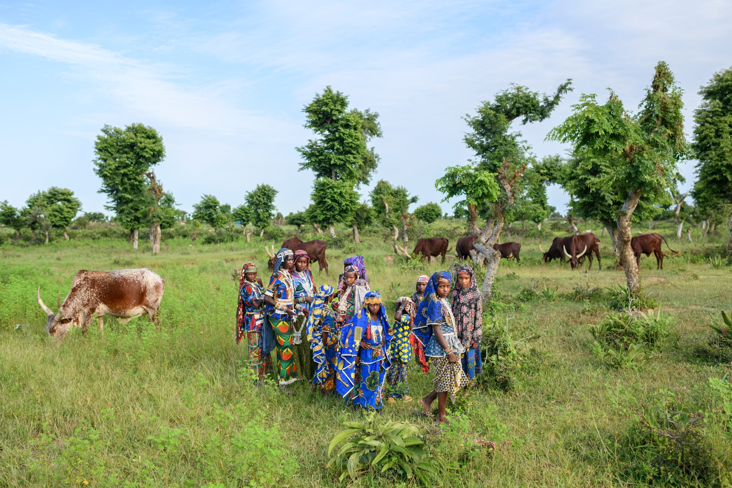 A group of young girls stand for a portrait among grasslands and cattle.