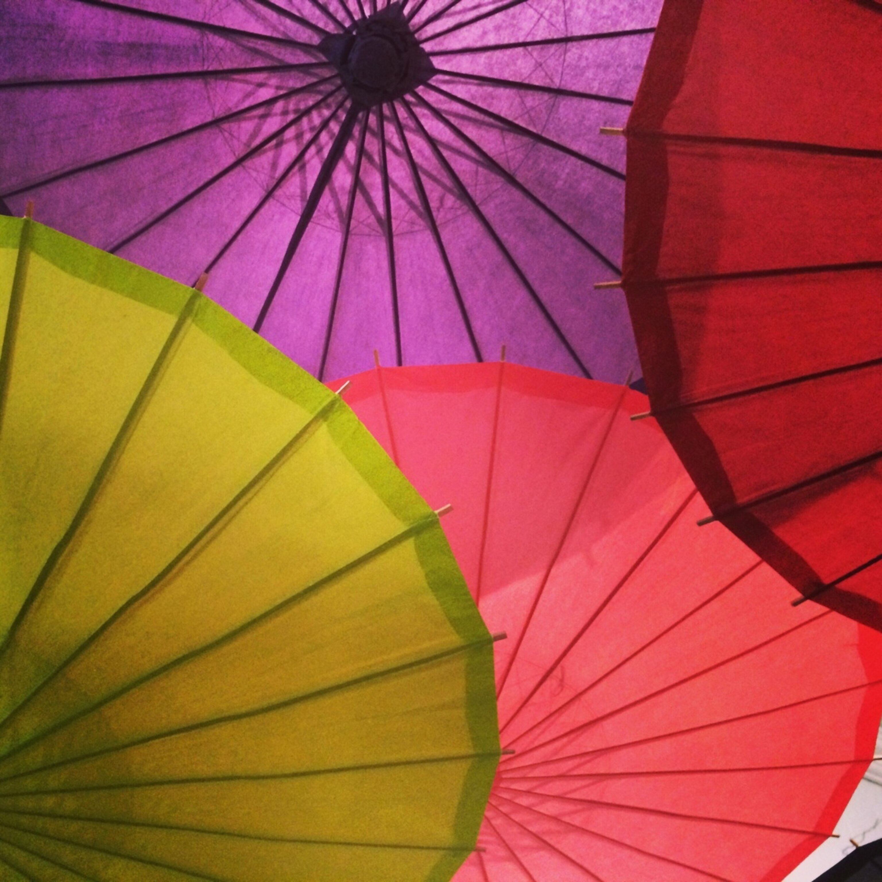 Colored umbrellas hang from the ceiling of Bella Umbrella on Magazine Street in New Orleans' Lower Garden District. (Photo by Andrew Evans, National Geographic Travel)