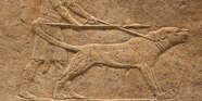 Dogs In Ancient Egypt The Early Origins Of Man s Best 59 OFF