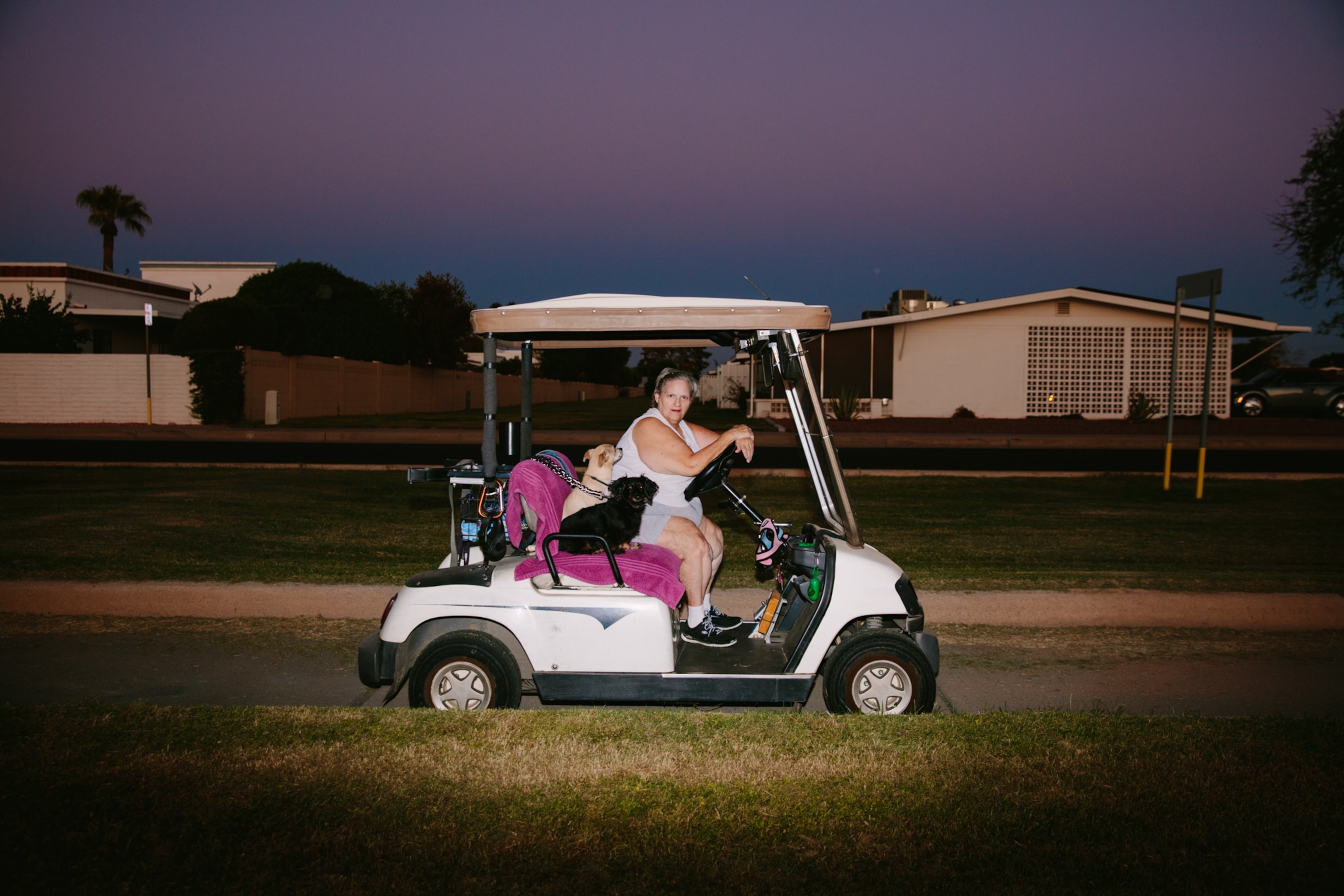 Woman with 2 dogs in a golf cart at sunset