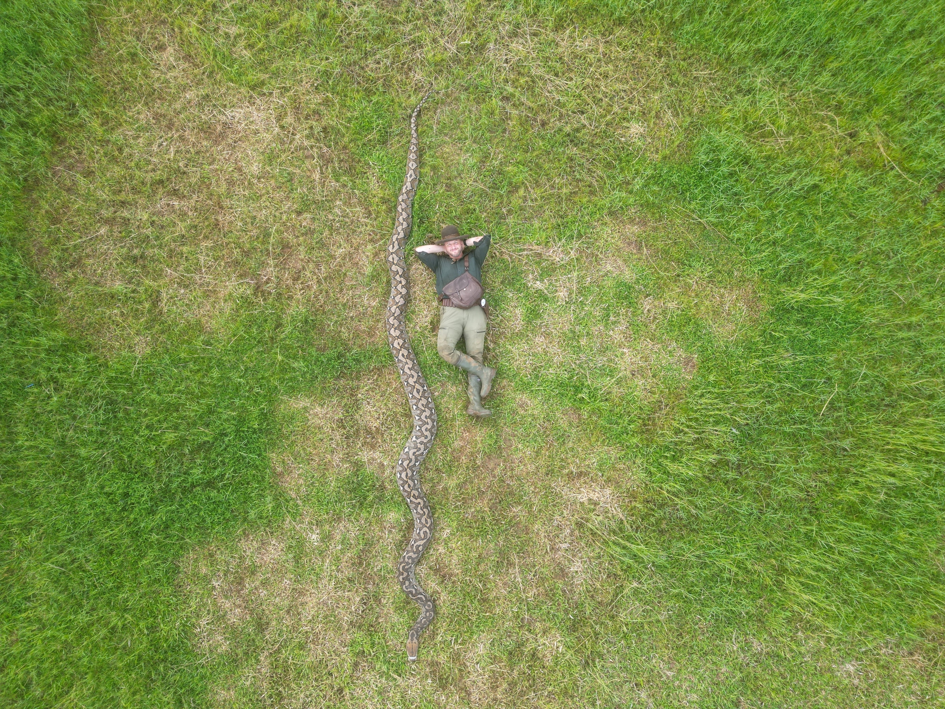 An aerial view of a man with a large snake for scale.