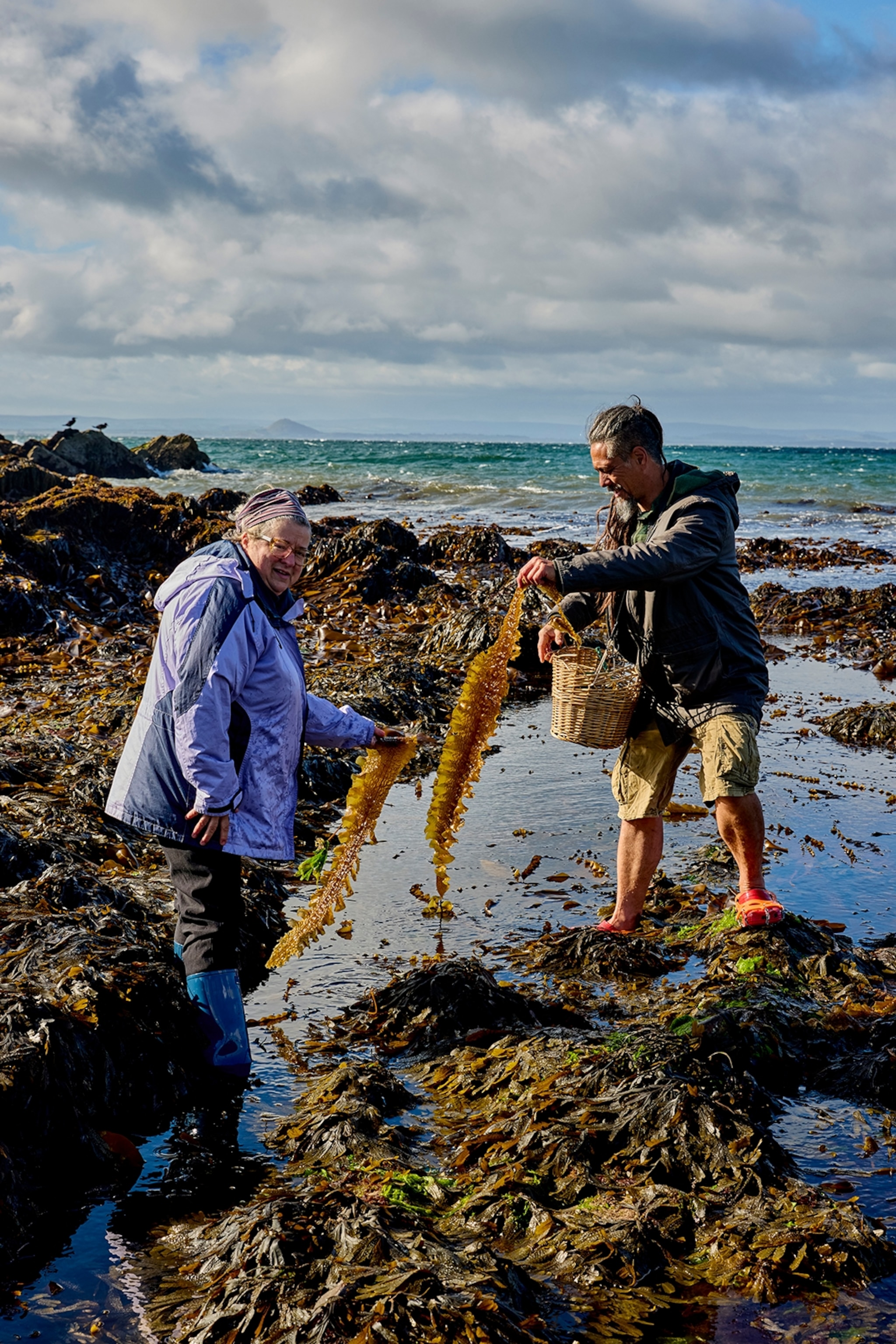 A man and woman holding up strings of seaweed from a shore inlet.