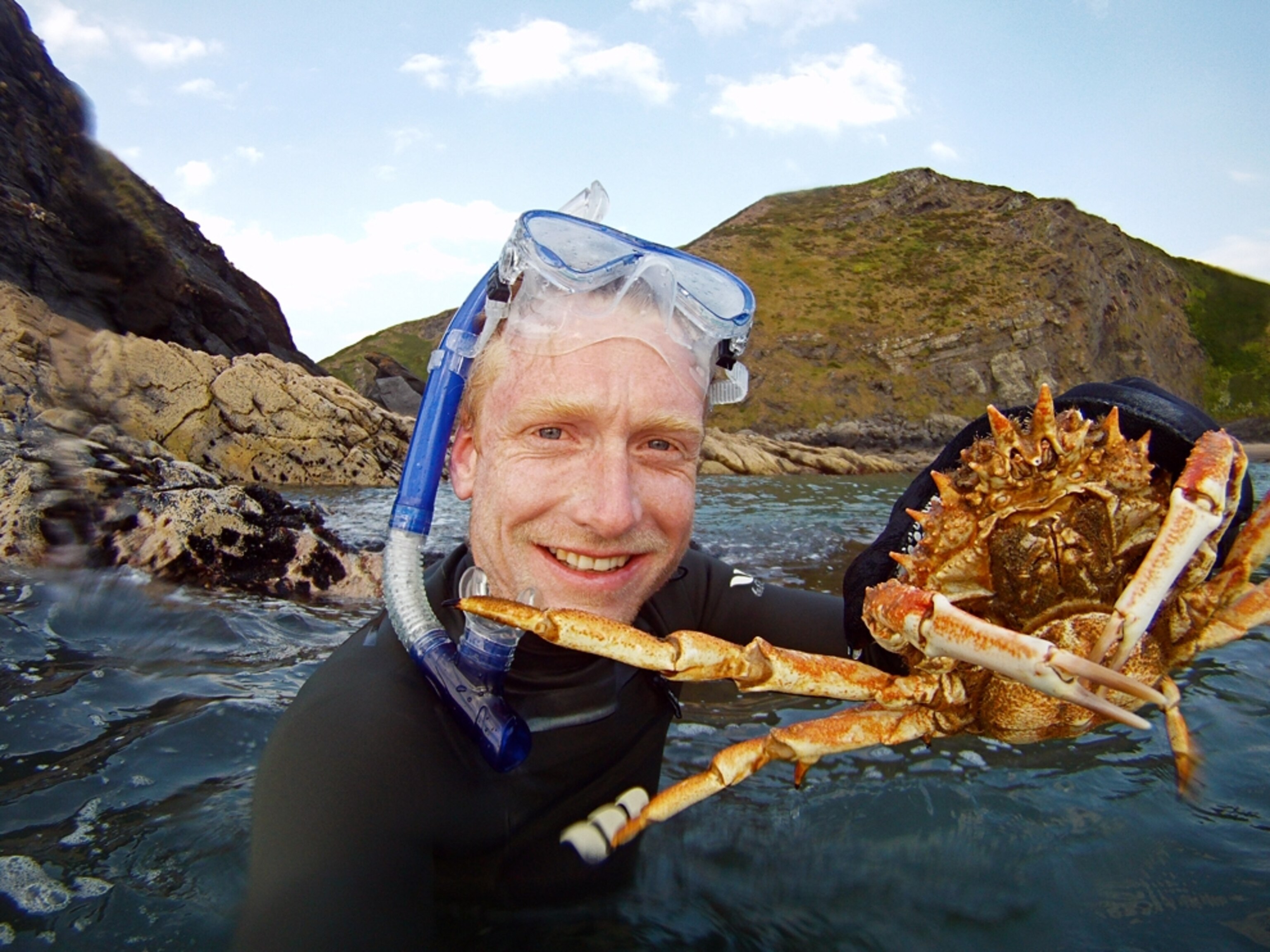 Snorkeling to catch spider crabs in Pembrokeshire, Wales