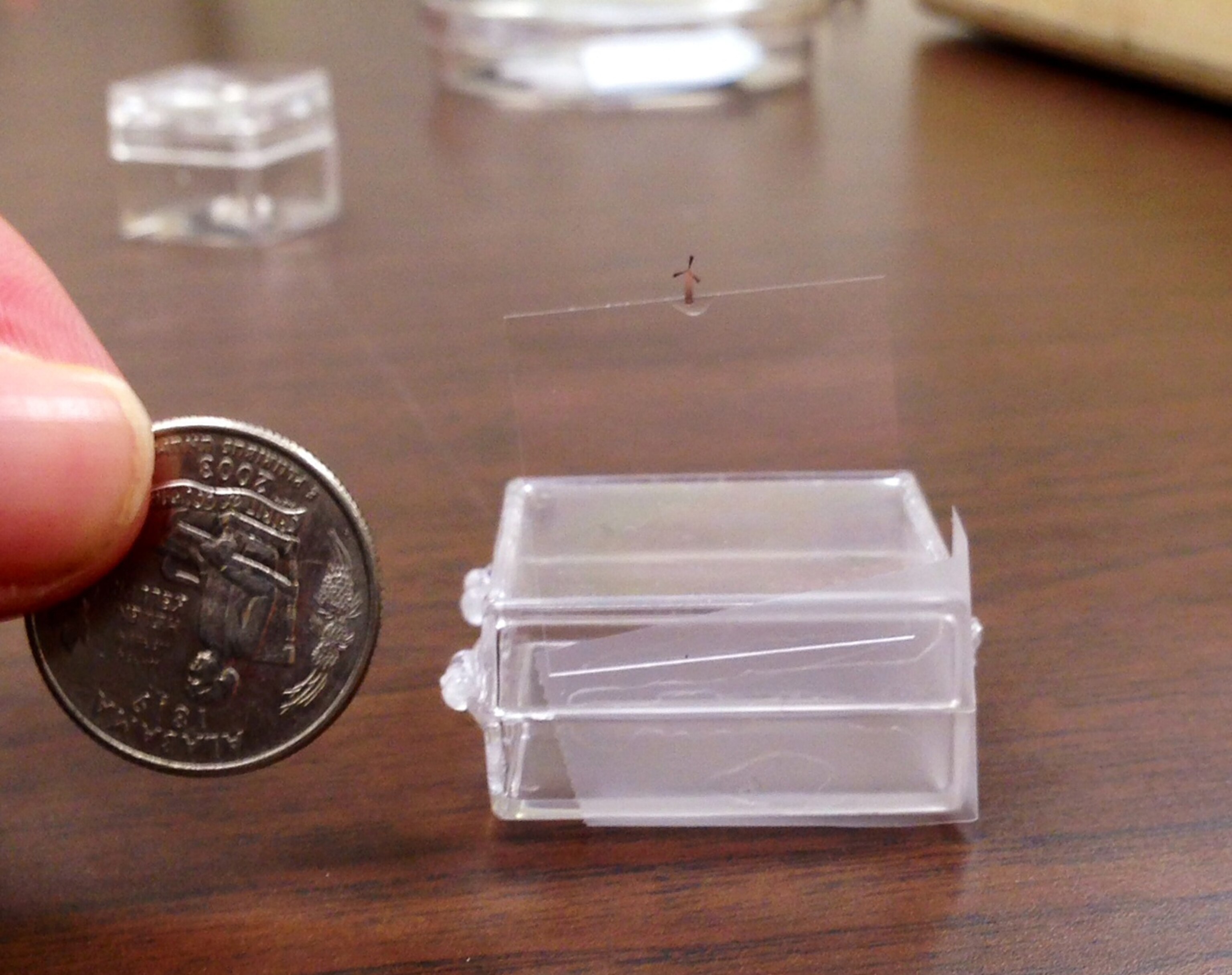 A tiny wind turbine, with a quarter to show scale, is mounted on a glass slide for photographing.