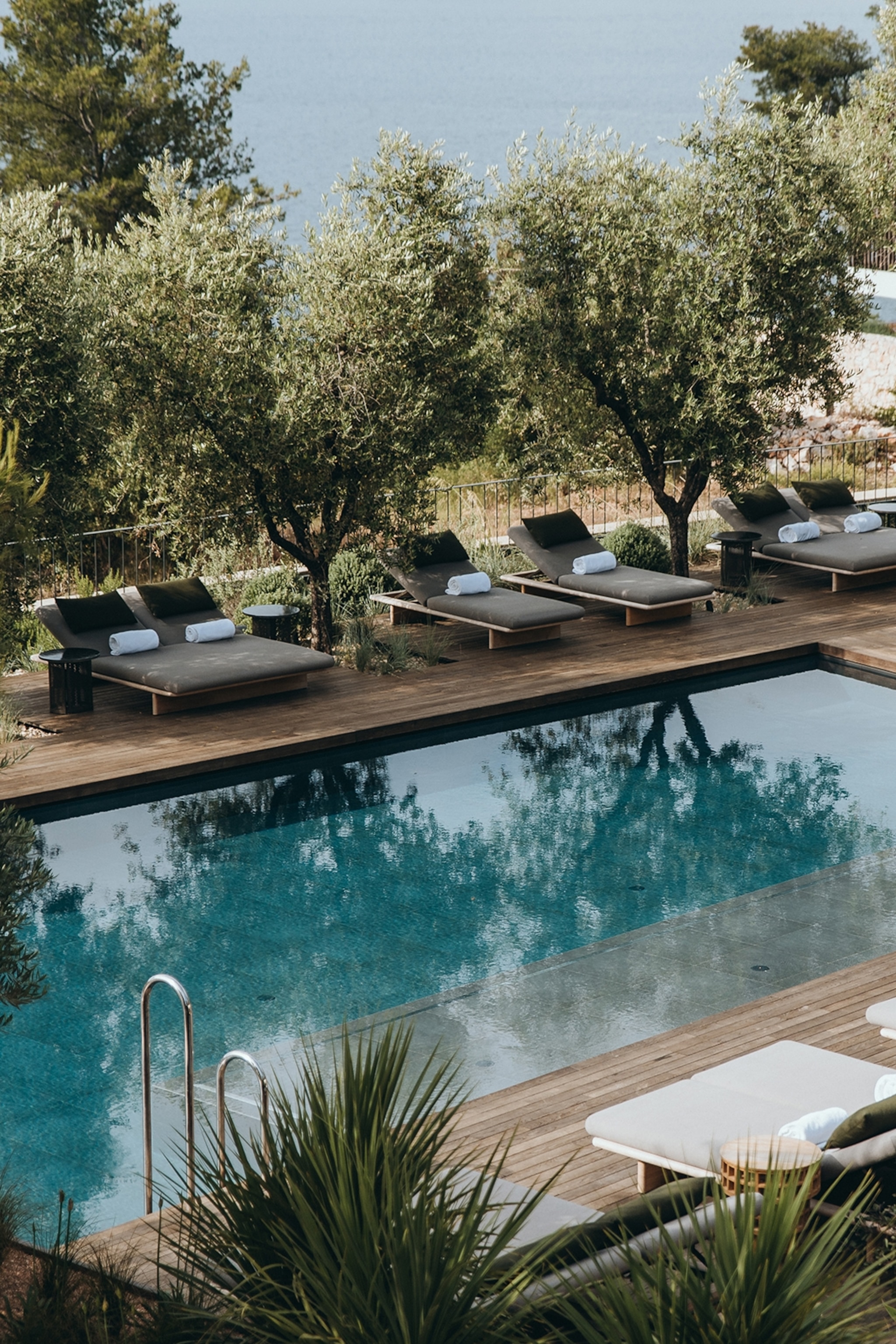 A resort pool enclosed by olive trees and sunbeds.