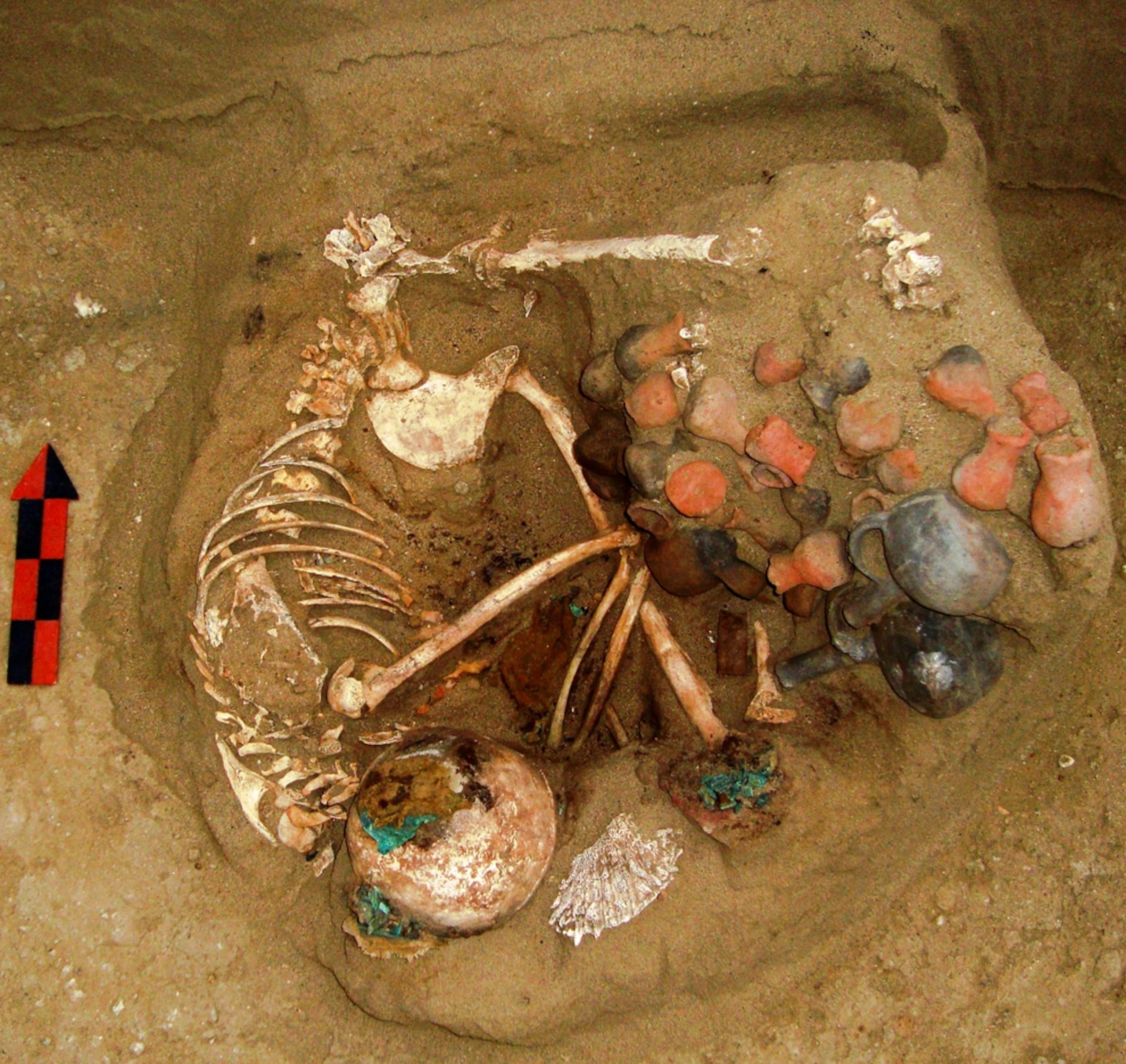 Picture of a burial found at the Moche site of Huaca Bandera in Peru, where a new chamber for human sacrifice has been discovered.
