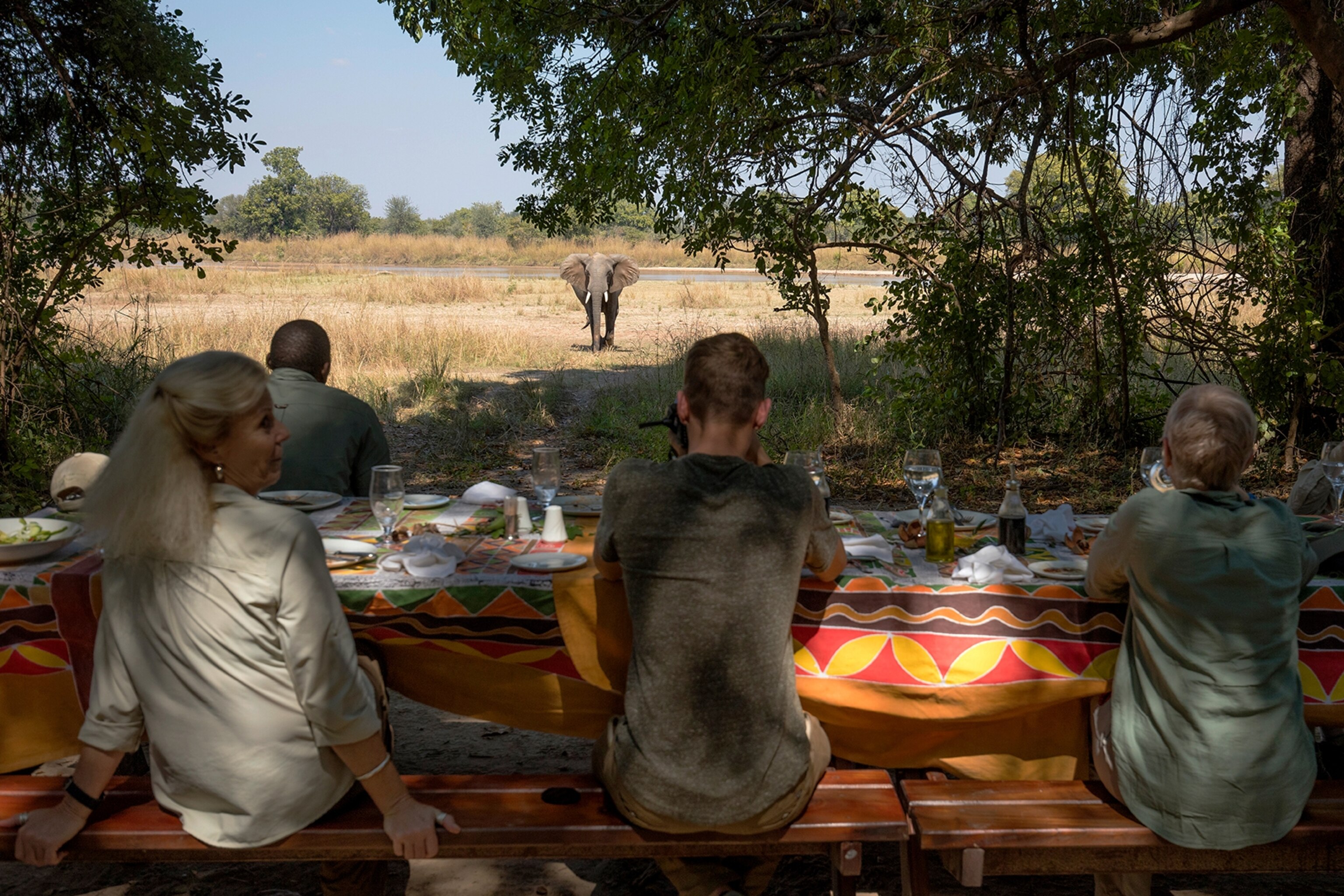 Bilimungwe camp guests enjoying lunch in the bush, while a resident elephant looks on