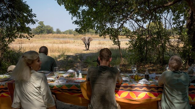 A Walking Safari In Zambia S South Luangwa National Park