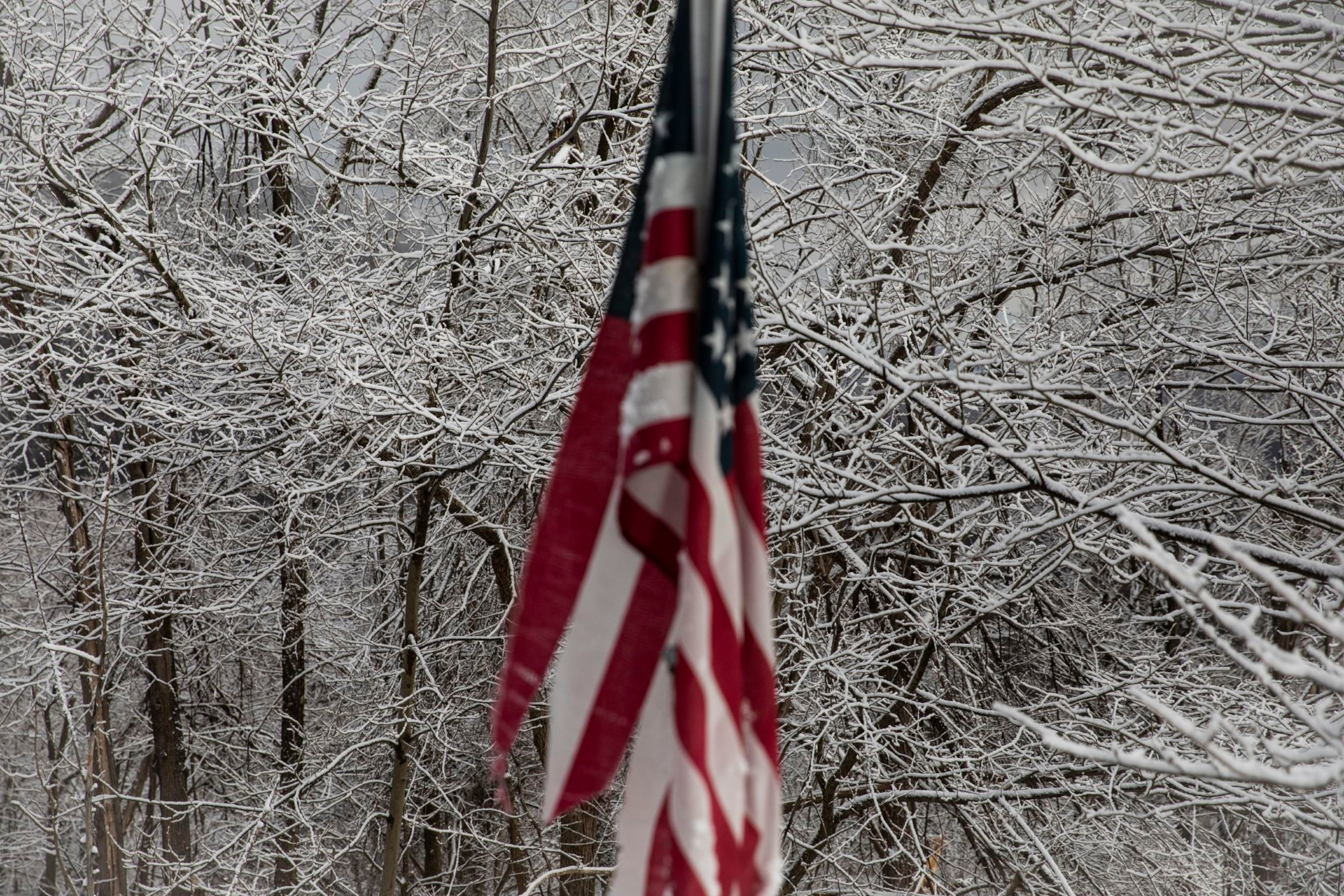 A U.S. flag in front of snowy trees