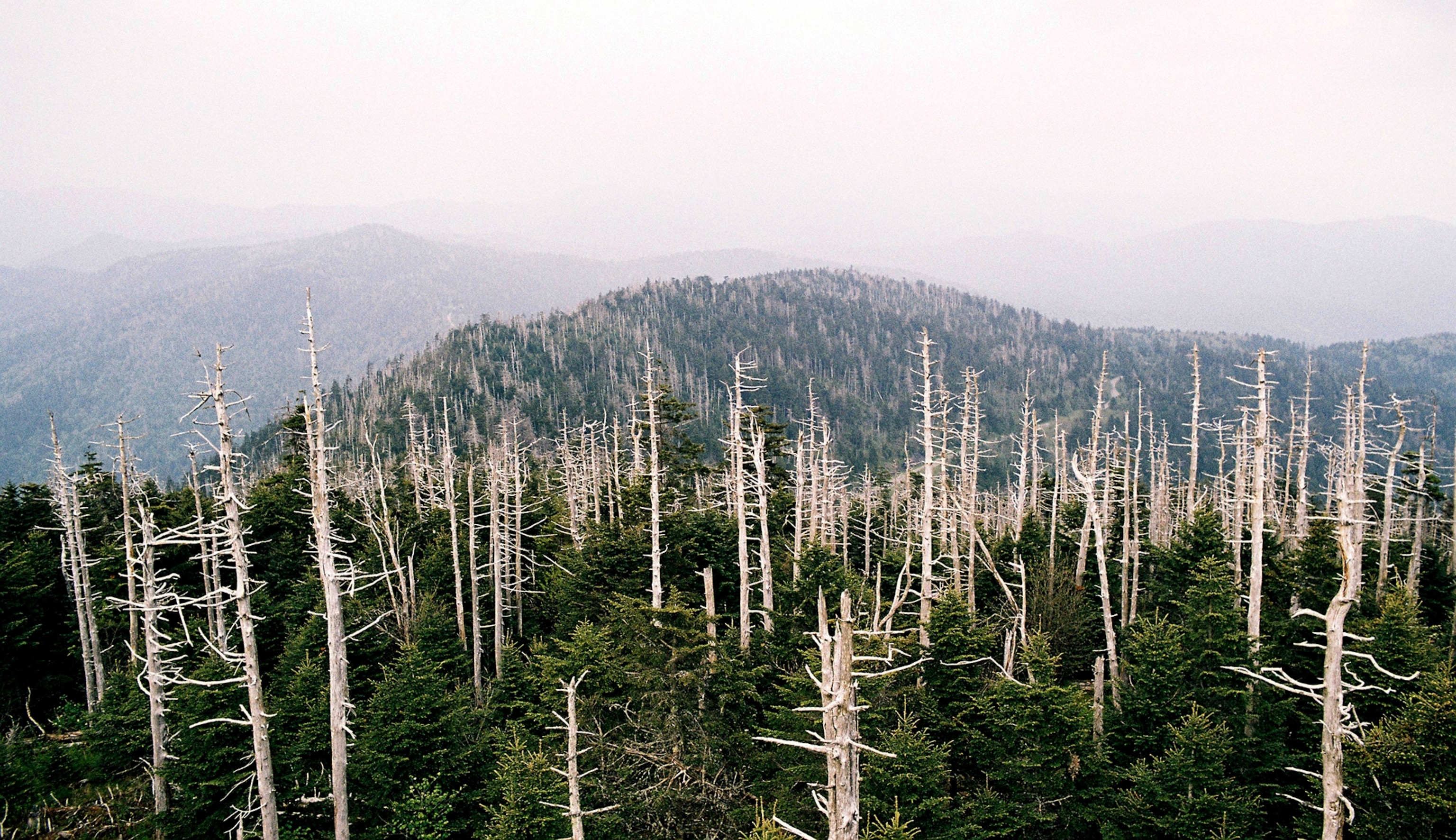 the Great Smoky Mountains in Tennessee