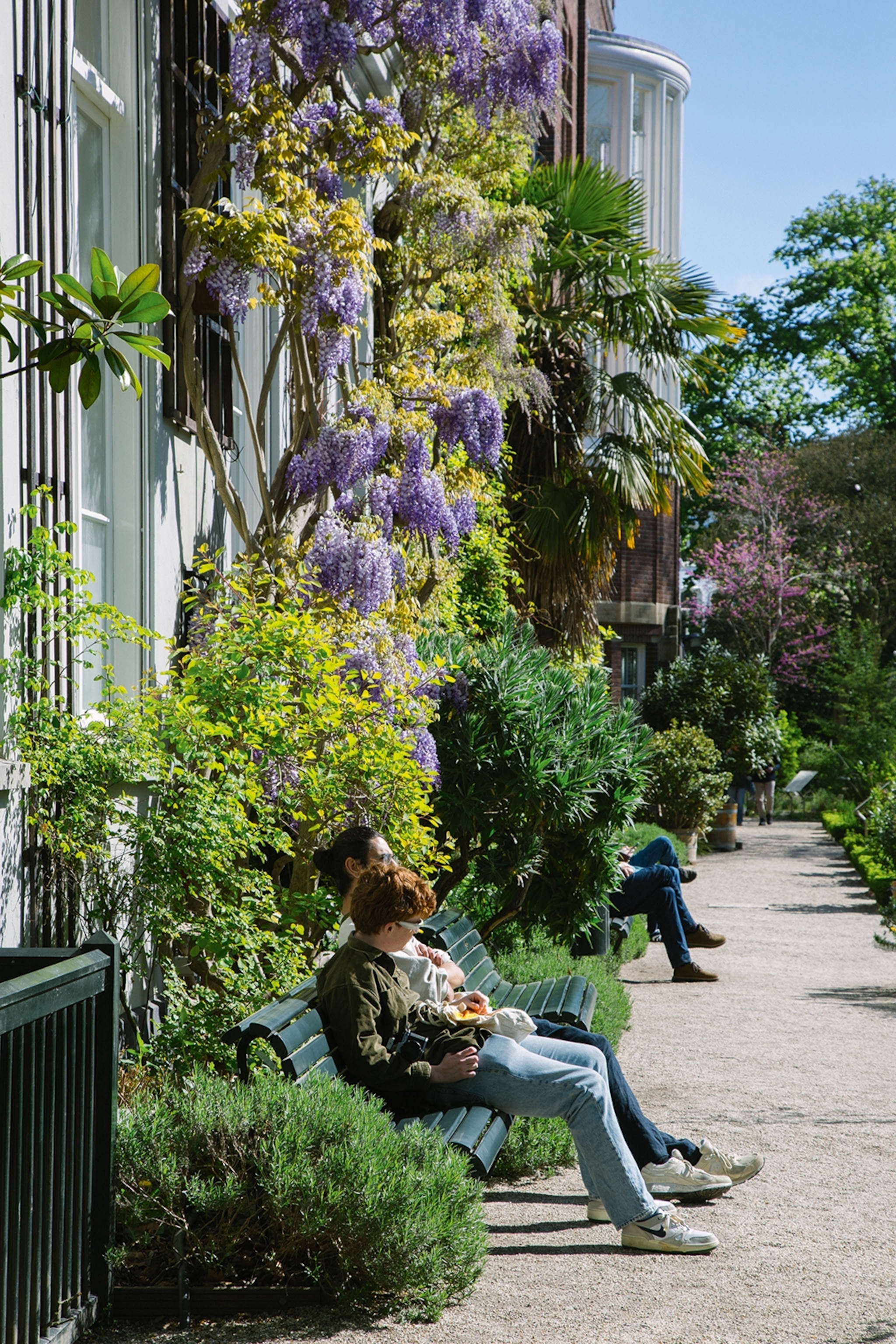 A pair of visitors enjoying the sun while sitting on a bench in a lush urban garden with rosemary to either side.