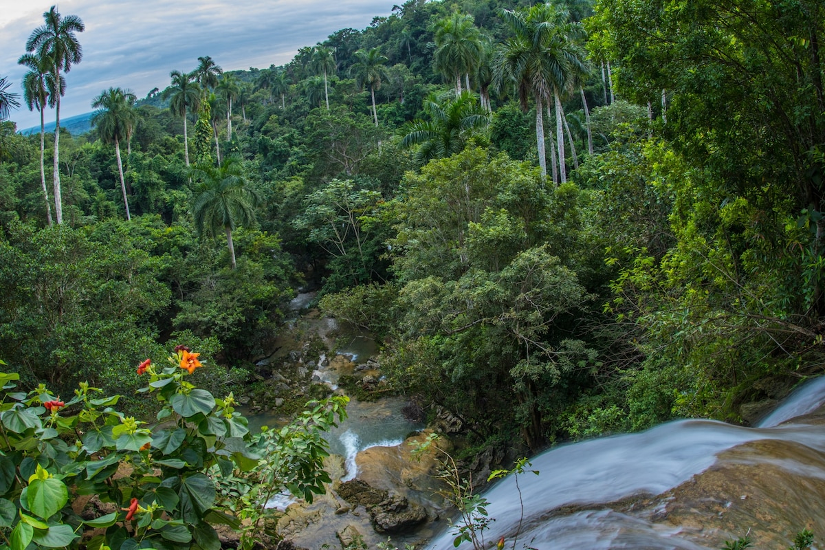 The unintended environmental benefit of Cuba's isolation - Vimarsana News
