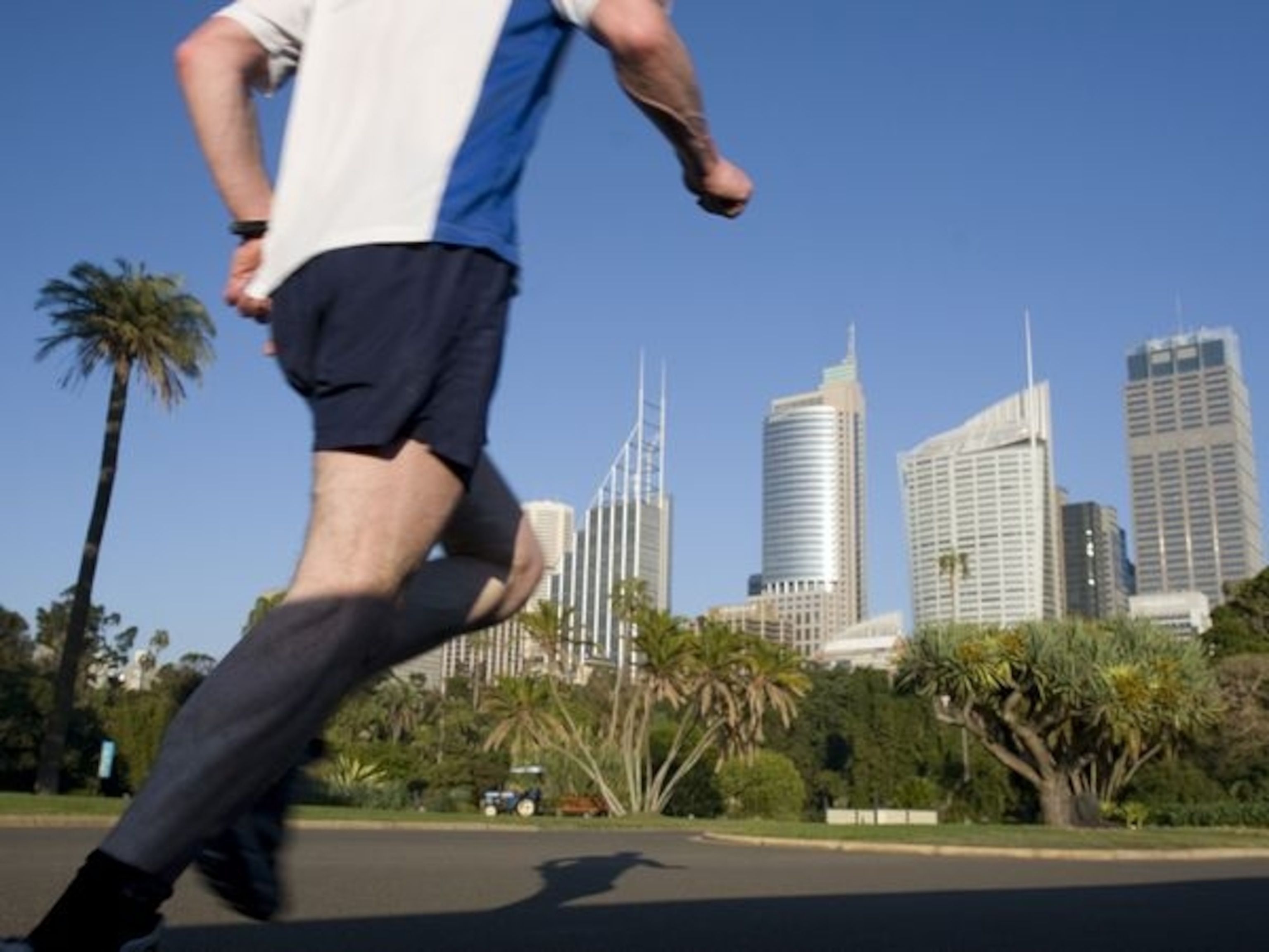 Sydney's skyscrapers