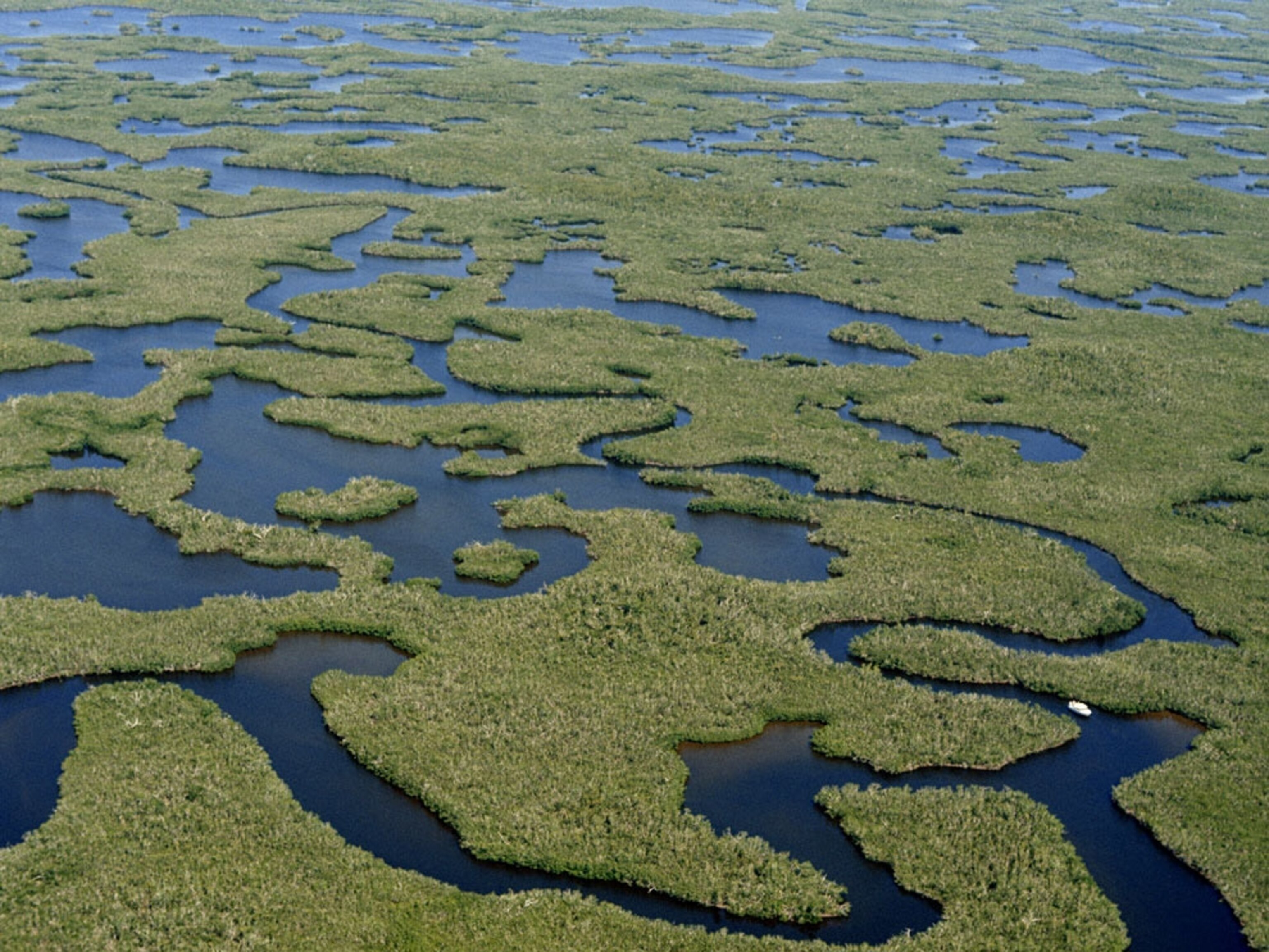 Aerial view of Everglades inlets