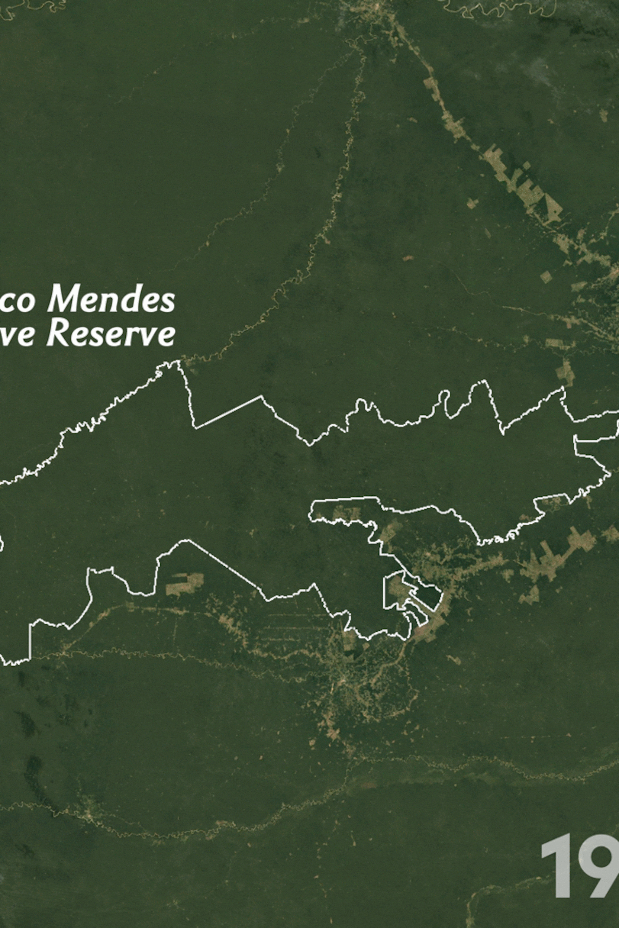 For Defenders Of Brazil S Amazon Forest A Day Of Mourning Warnings And Rays Of Hope