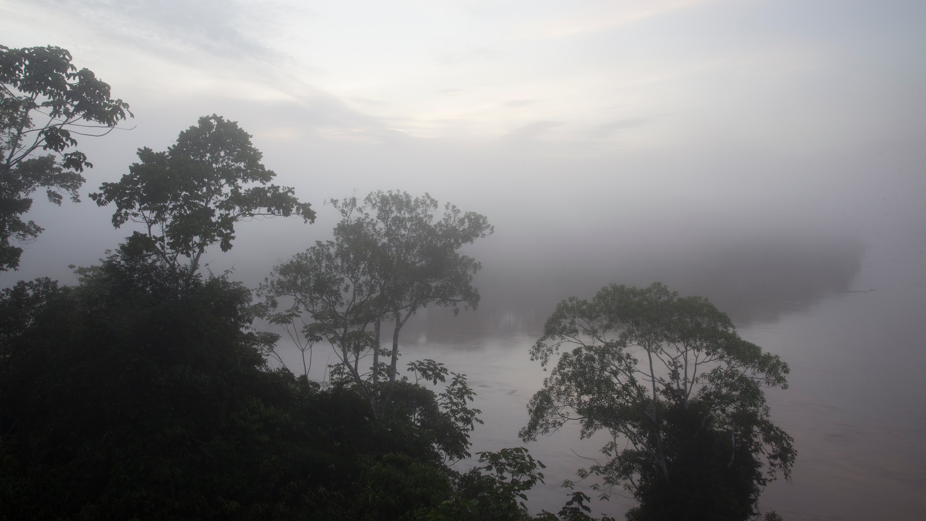 Why the Amazon doesn’t really produce 20% of the world’s oxygen