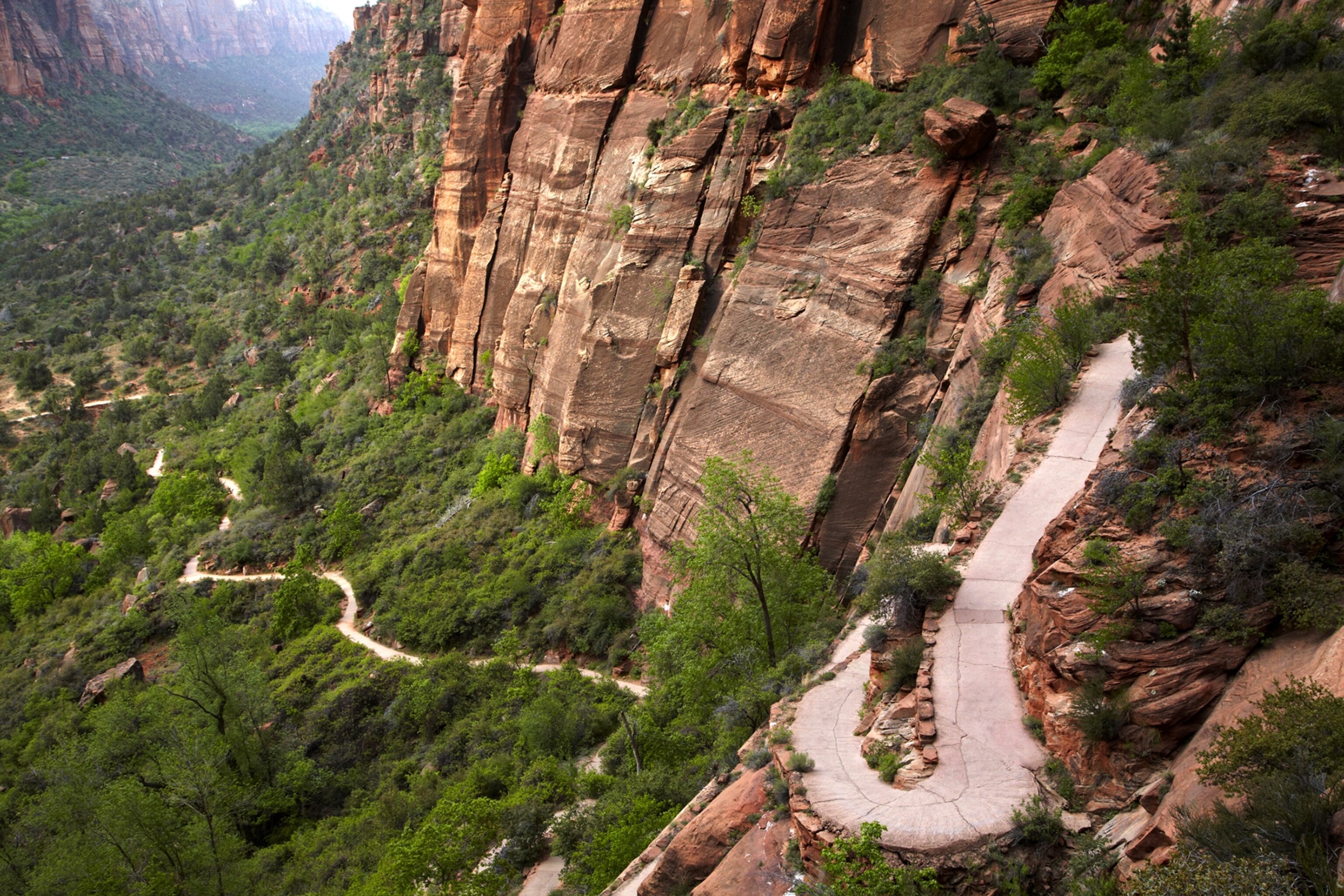 a trail out of Zion Canyon, Zion National Park, Utah