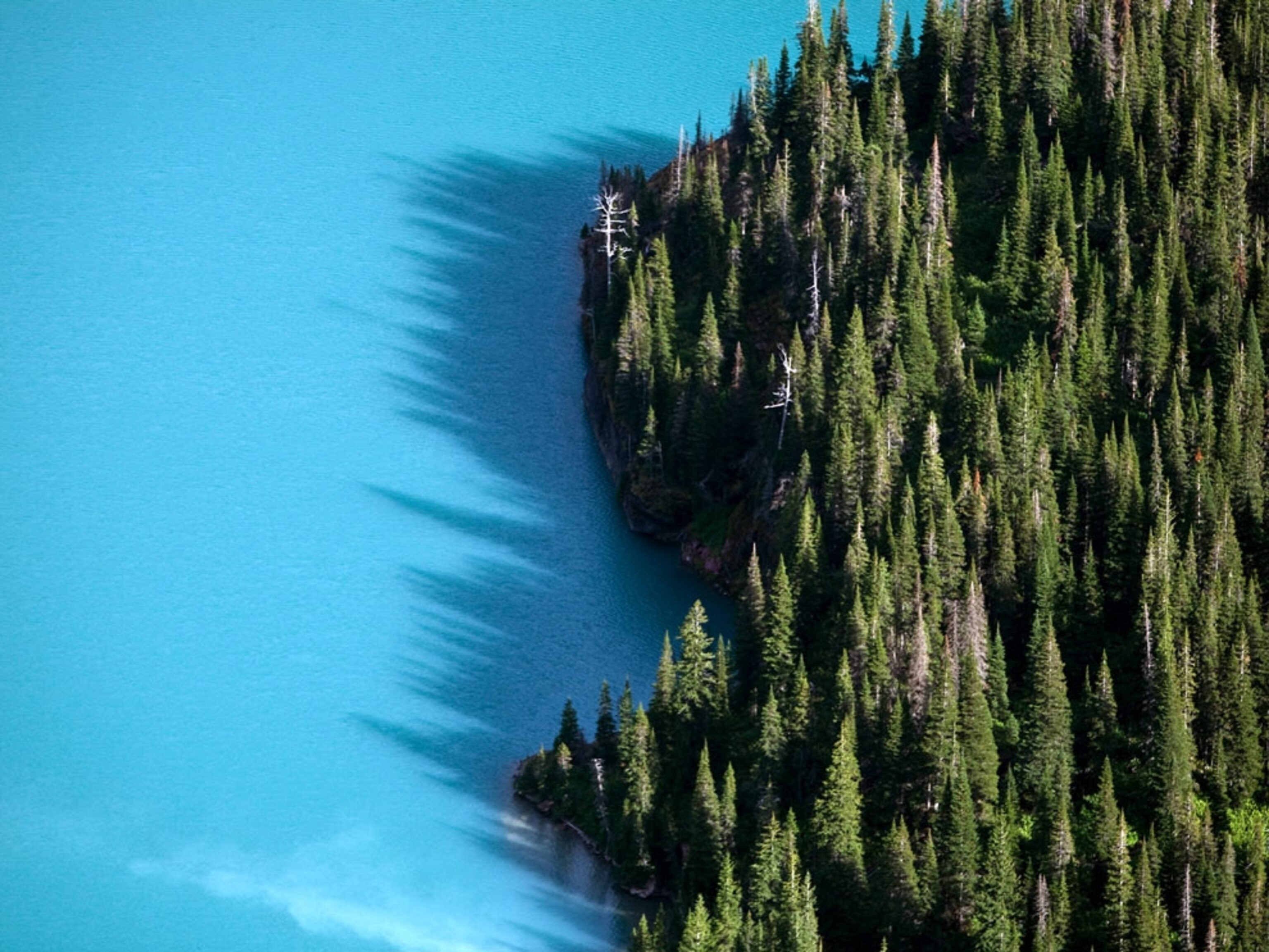 Trees and bright blue water