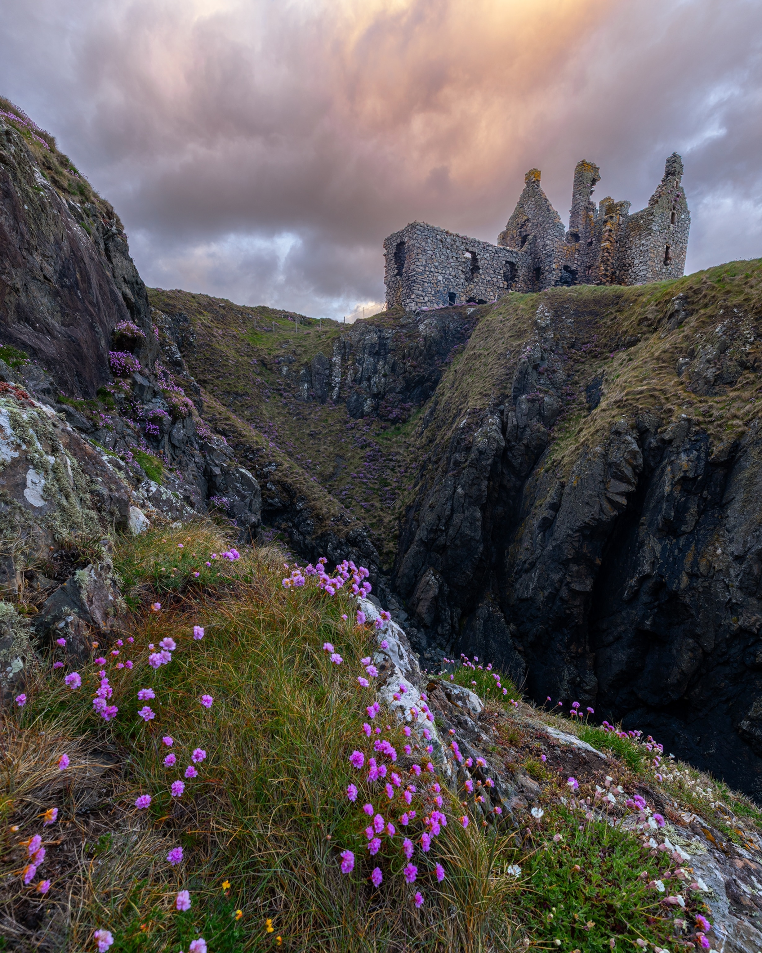 A ruined stone castle stands on a rugged coastal cliff above a narrow rocky gorge, with pink wildflowers blooming in the foreground beneath a dramatic cloudy sky.
