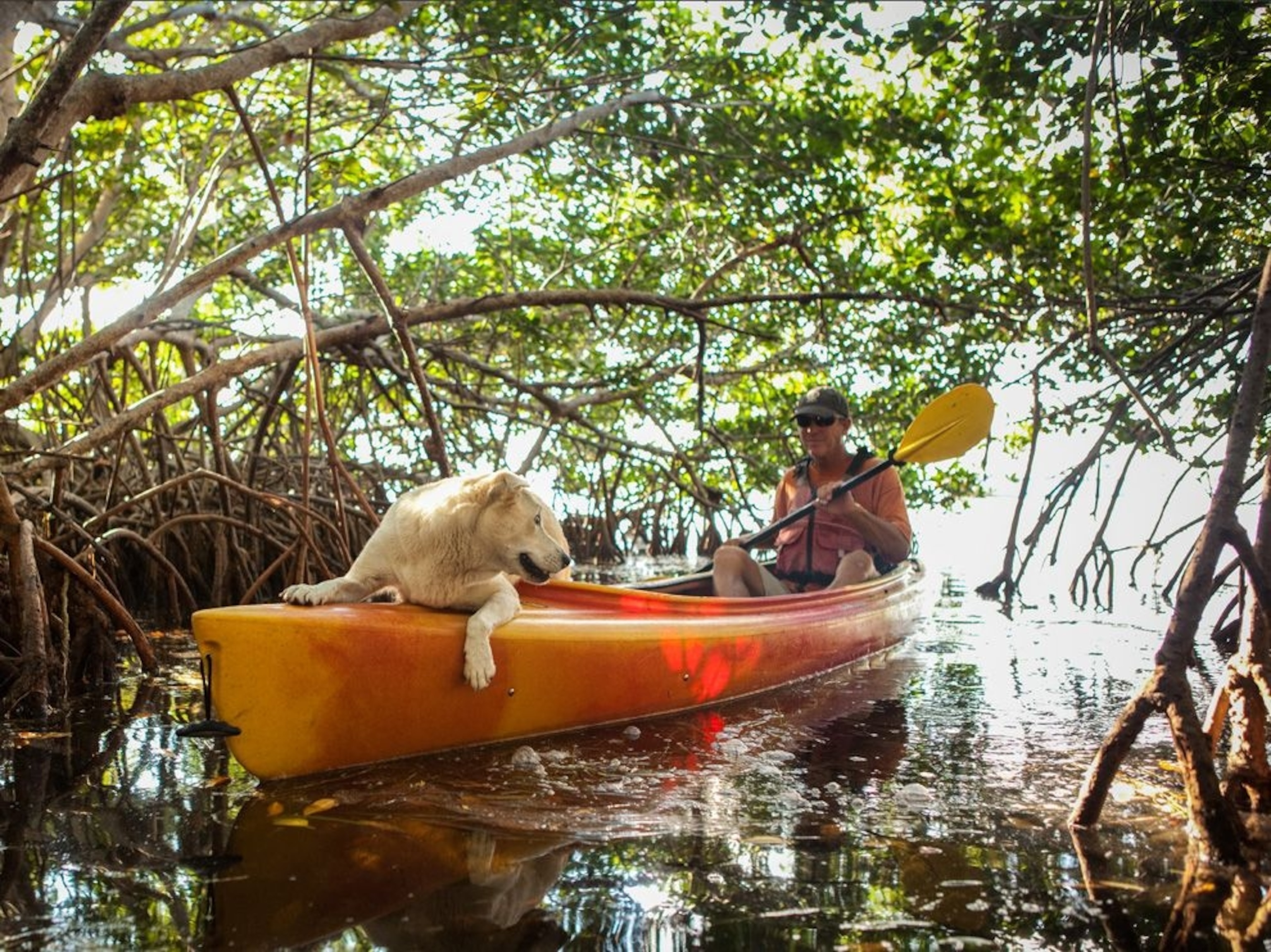 Canoeing in the Florida Keys