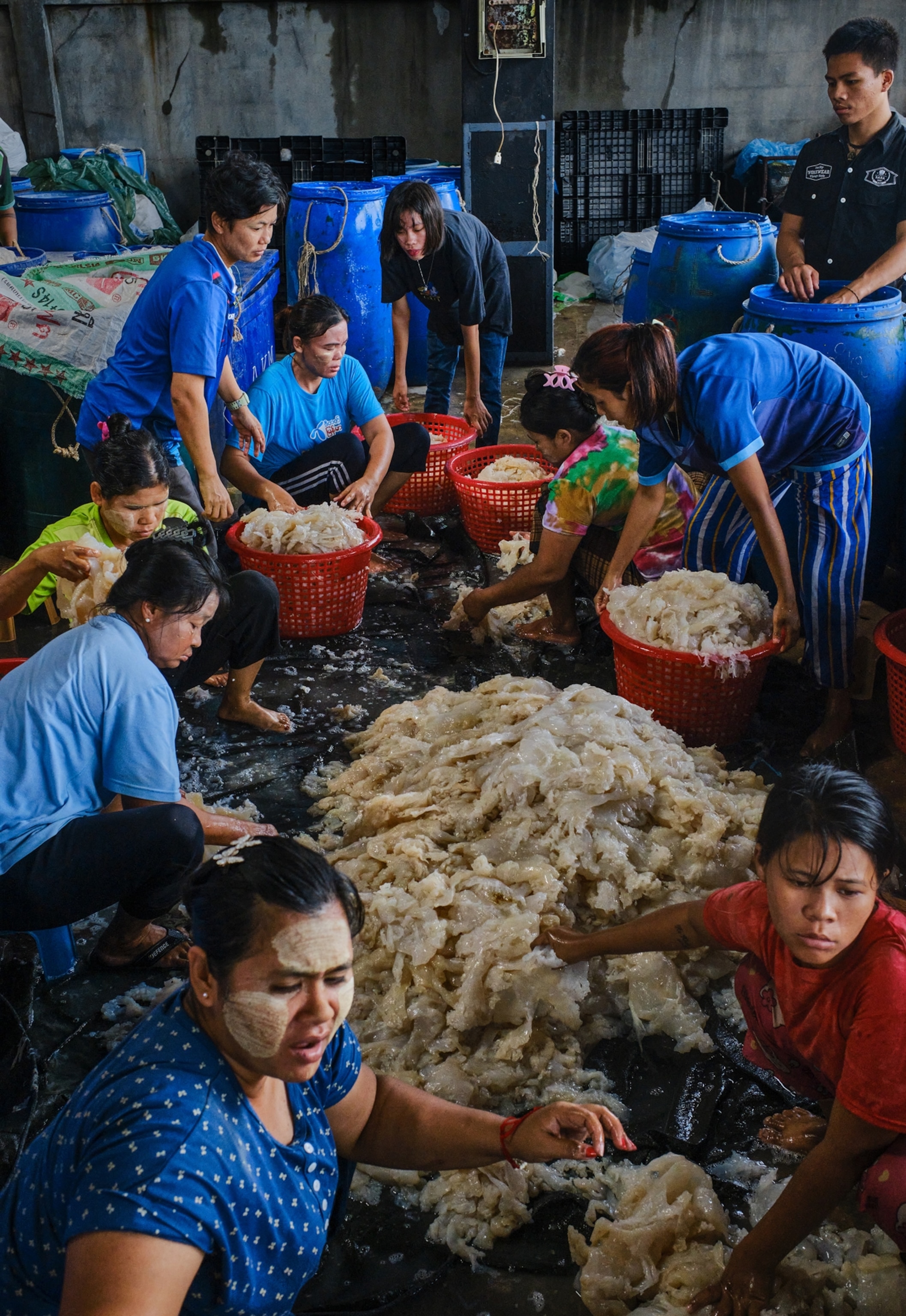 A group stands around a bucket of jellyfish