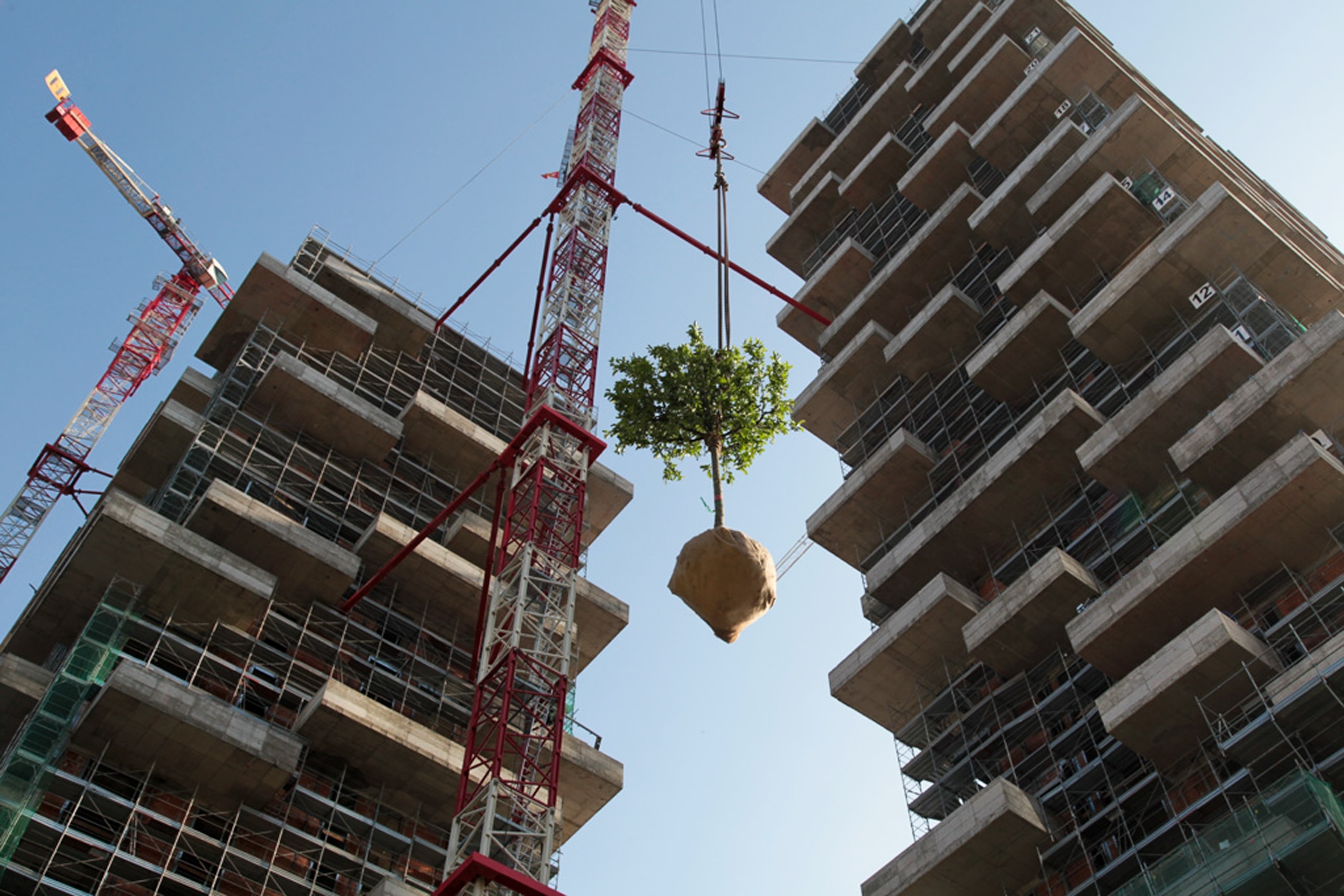 a tree being lifted up to Bosco Verticale Vertical Forest in Milan, Italy