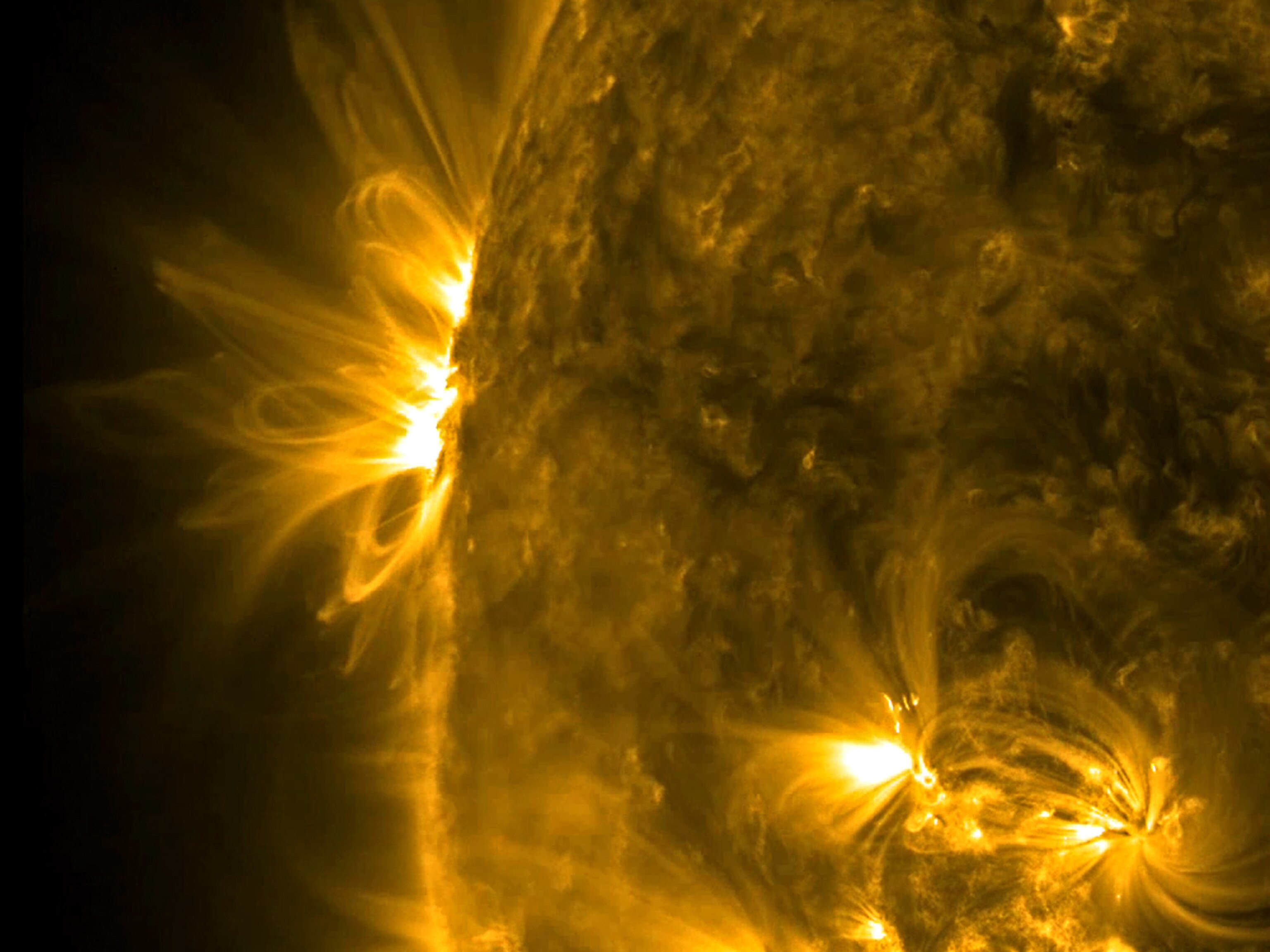 Extreme ultraviolet light picture - one of the sun's active regions