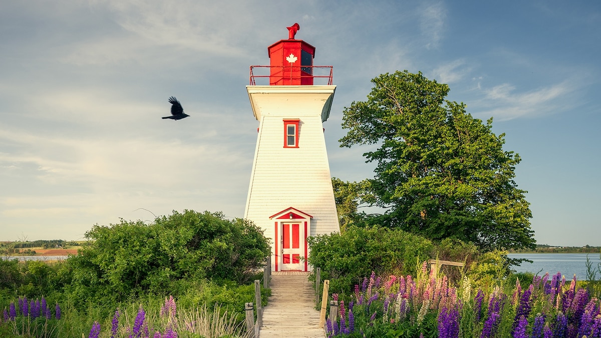 Prince Edward Island offers a quieter alternative to Cape Cod ...