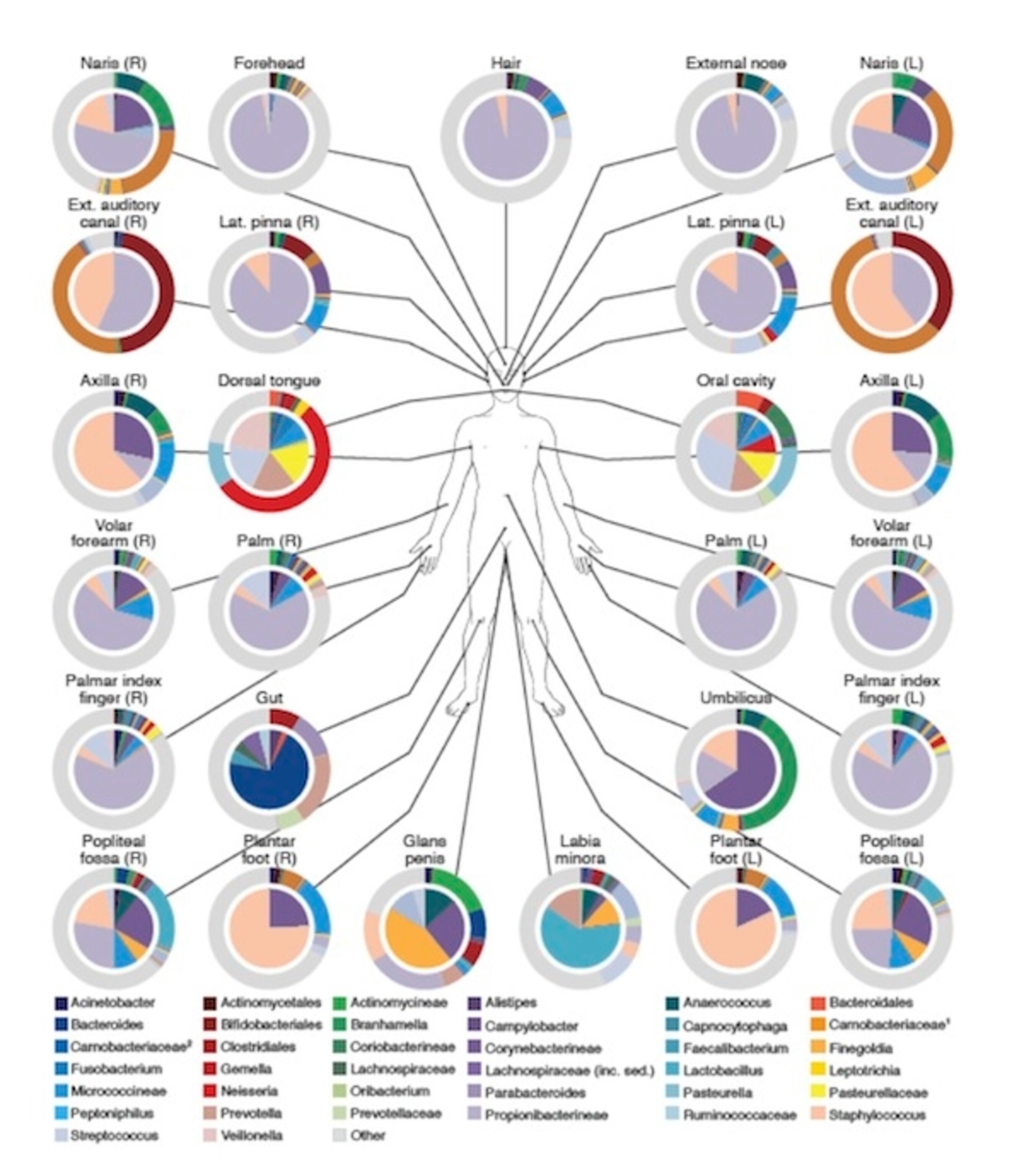 microbiome survey