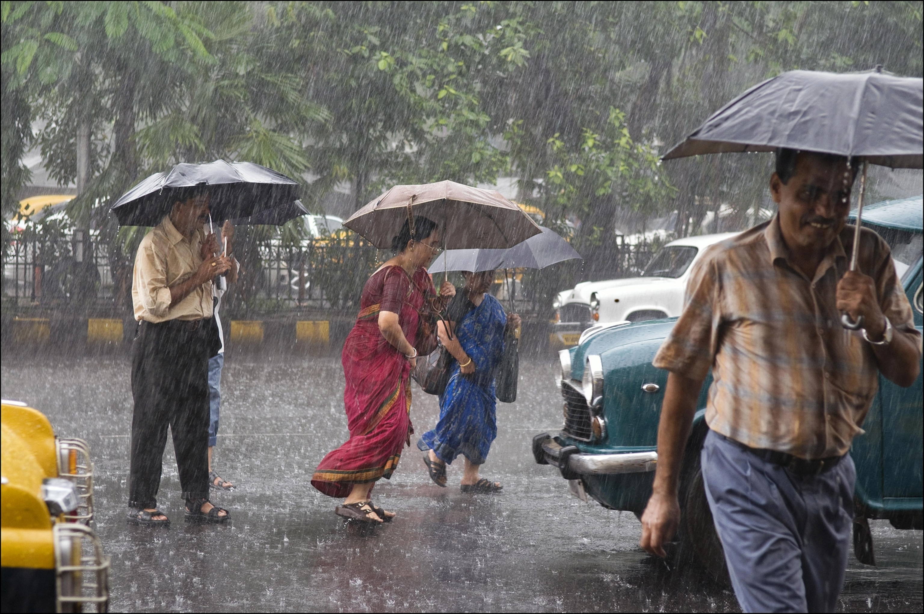 People on a street among cars walk with umbrellas as heavy rain falls on them