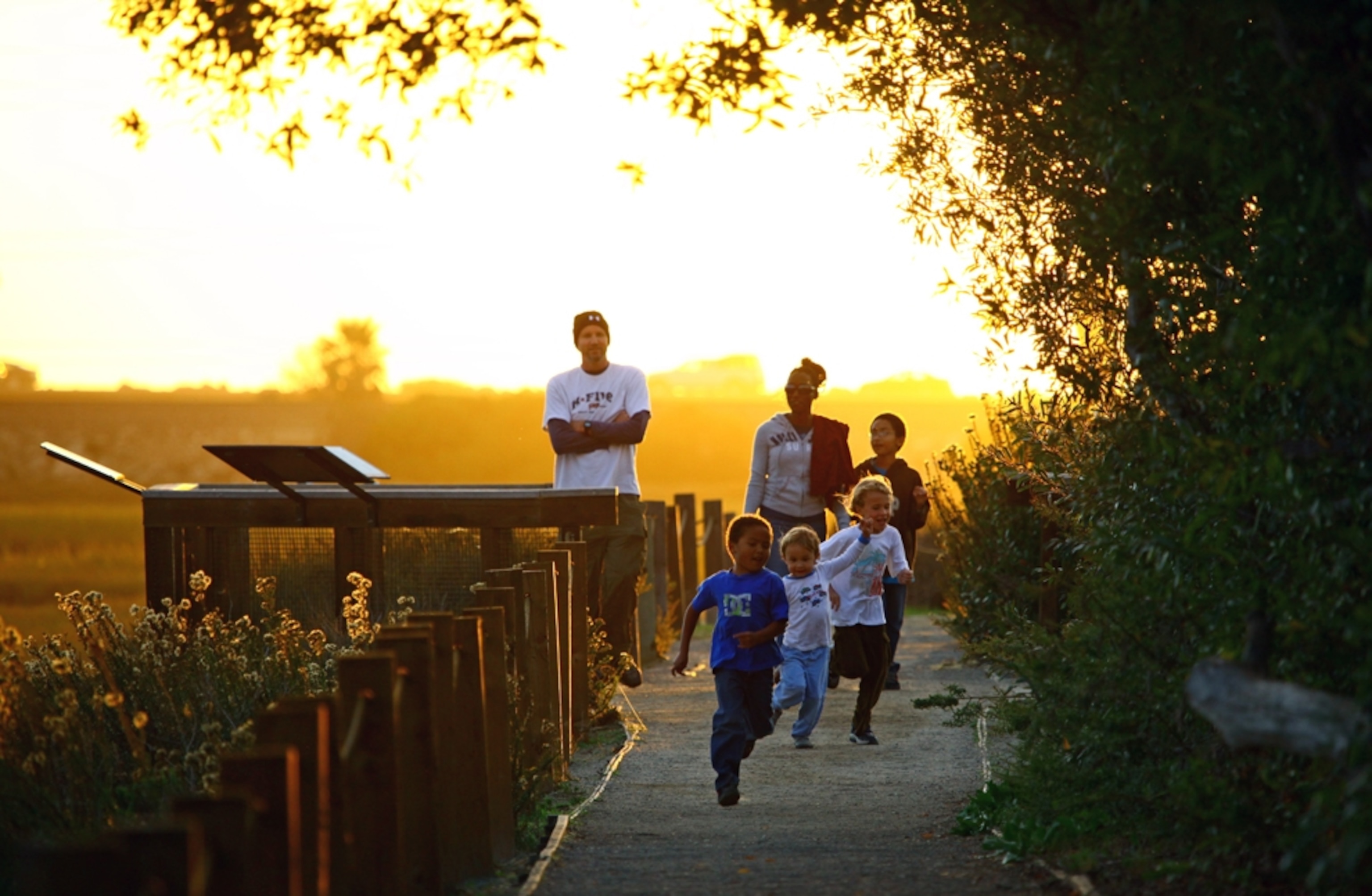 Protected wetland areas also provide a healthy space for families to play together and learn about the natural world surrounding them.