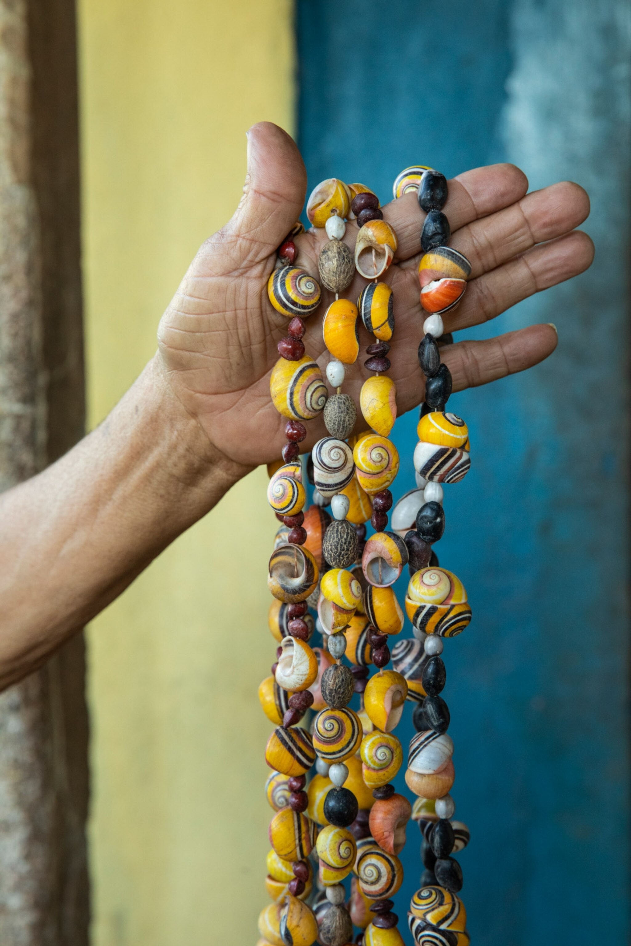 a hand holding multiple necklaces made of snail shells