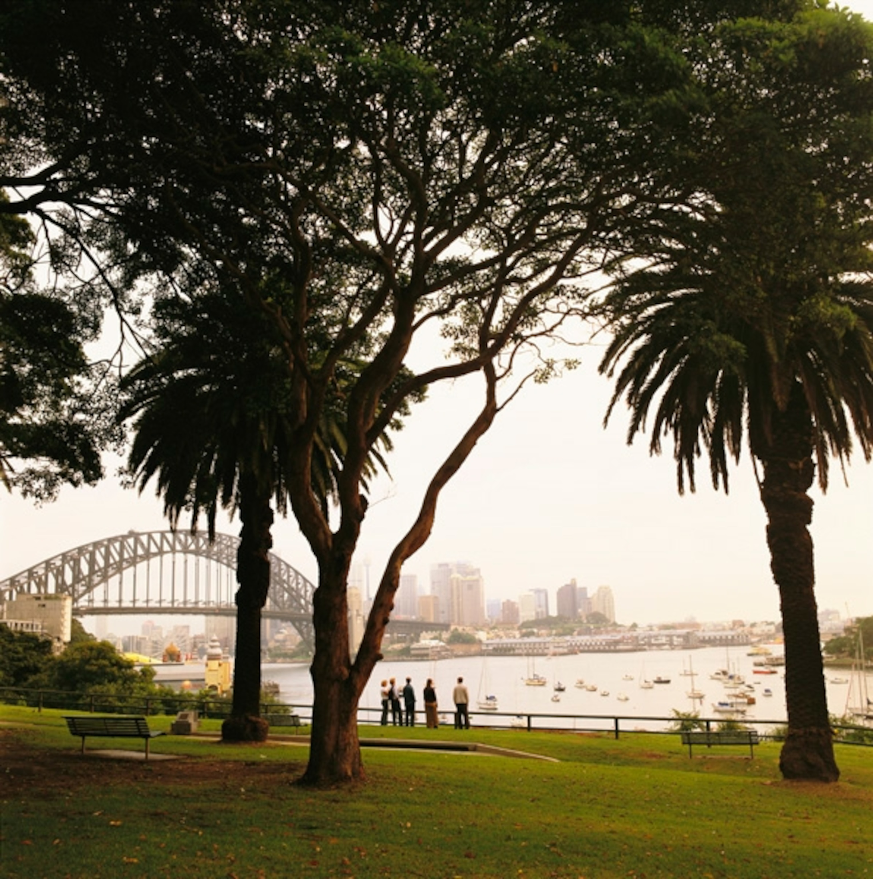 the Sydney Harbour Bridge viewed from a park